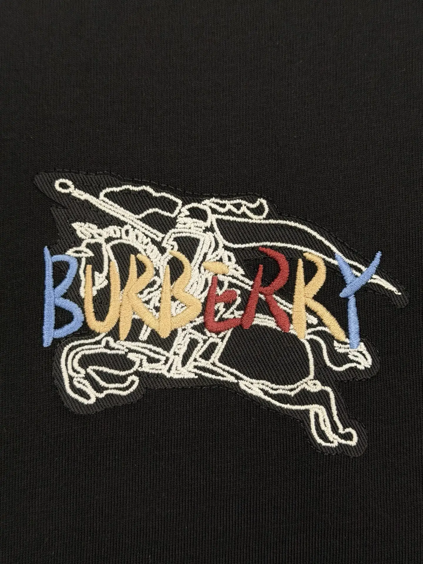 Embroidered Rainbow Equestrian Knight T-Shirt D13513377 — view 4