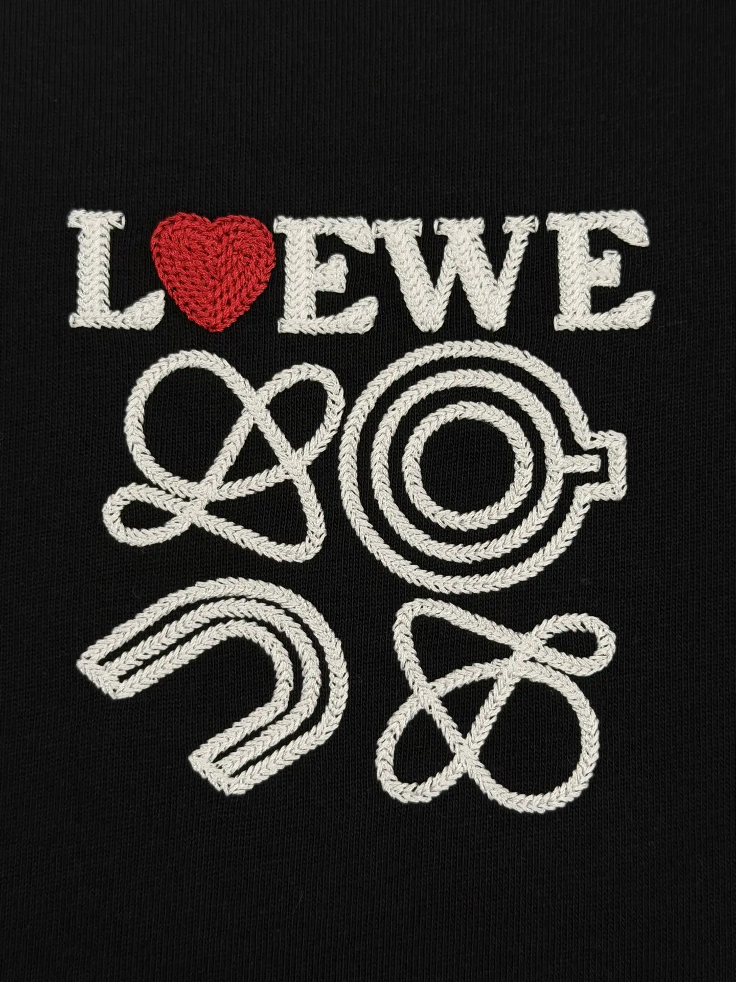 Logo Embroidery Heavyweight Cotton T-Shirt D13513379 — view 5