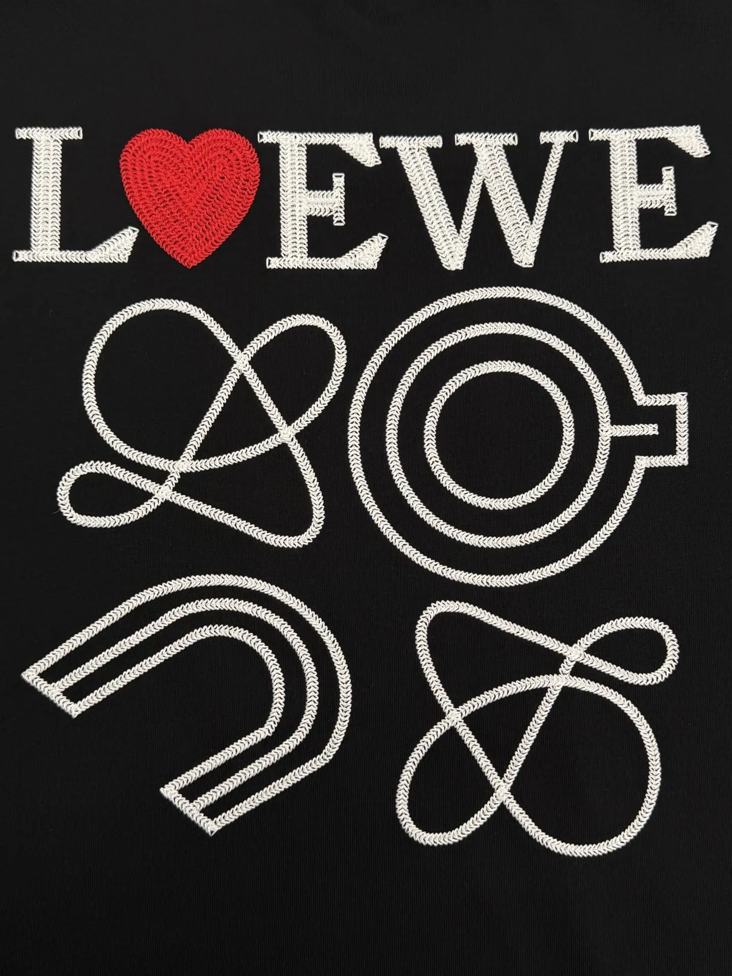 Logo Embroidery Heavyweight Cotton T-Shirt D13513379 — view 8