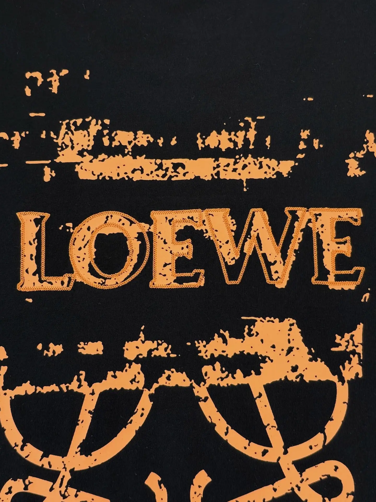 Anagram Embroidered Cotton T-Shirt D13513391 — view 6