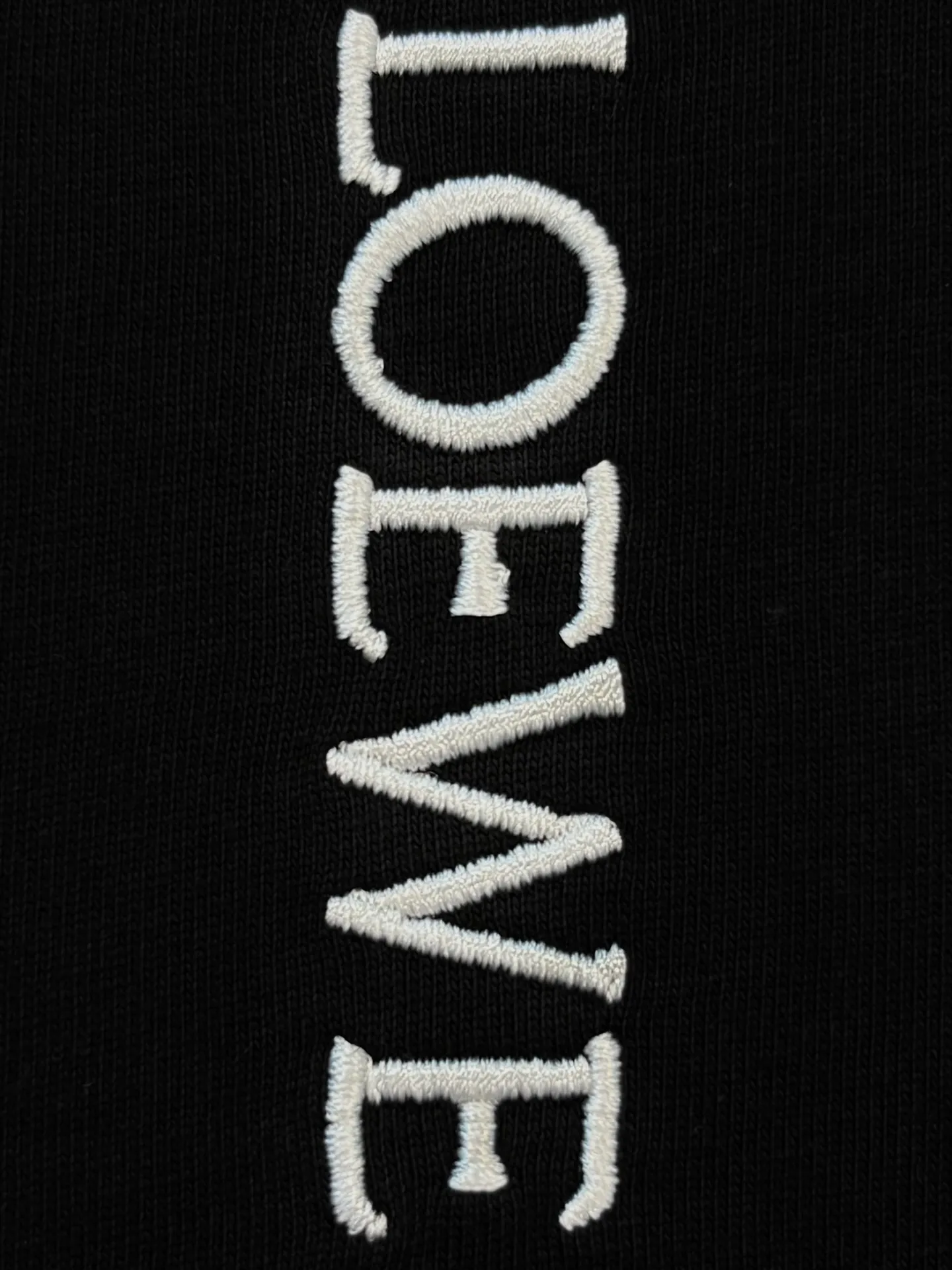 Anagram Embroidered Cotton T-Shirt D13513359 — view 6
