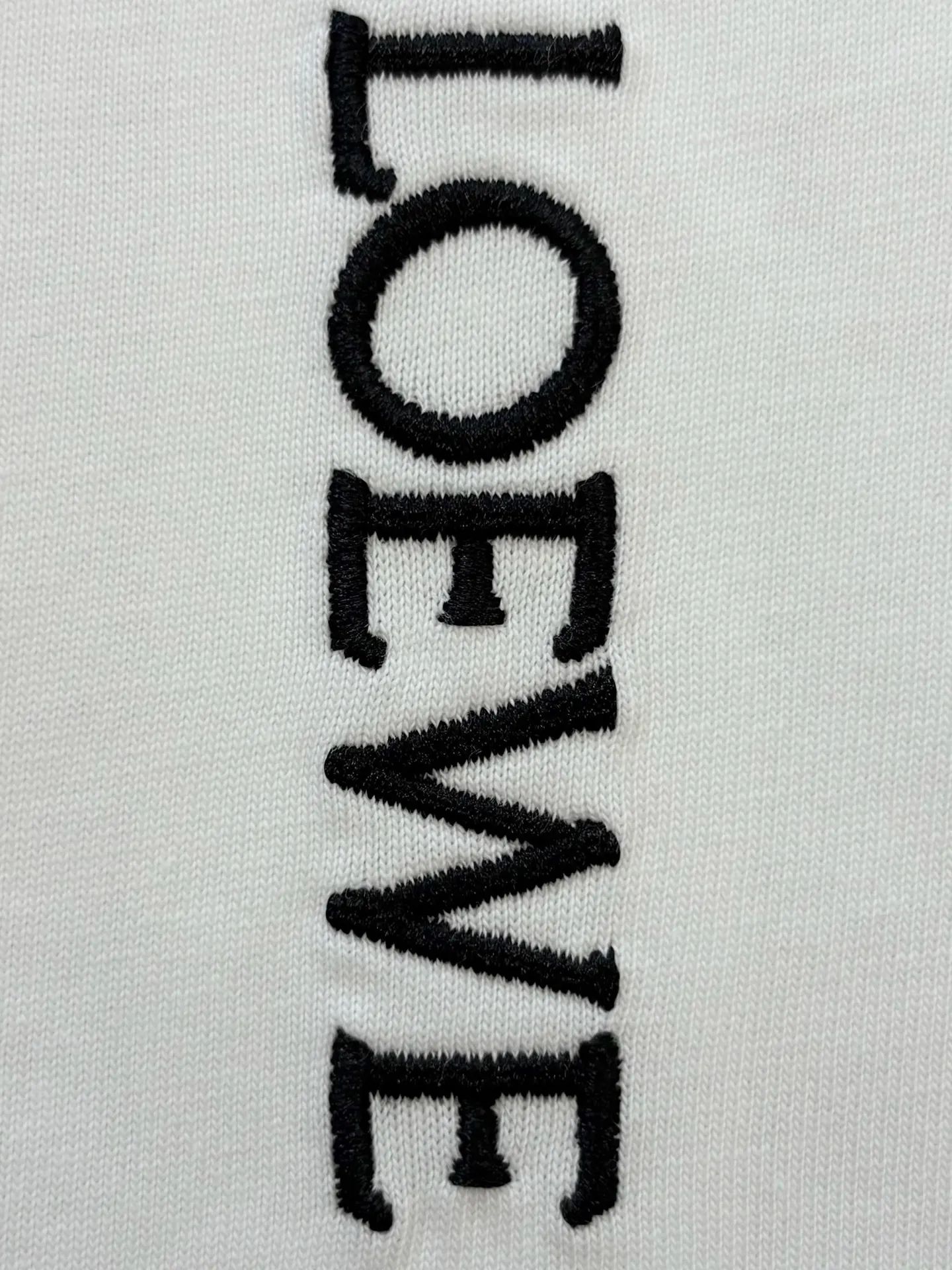 Anagram Embroidered Cotton T-Shirt D13513358 — view 6