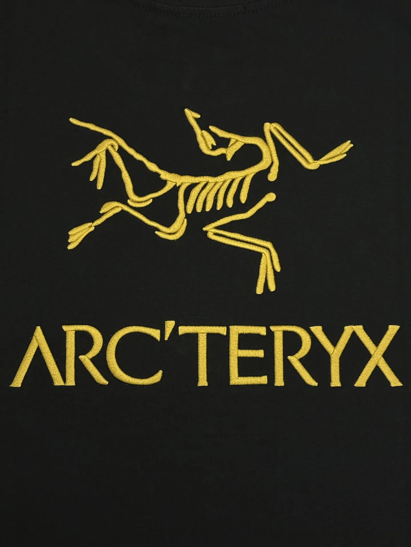 Embroidered Logo Cotton T-Shirt D13513341 — view 6