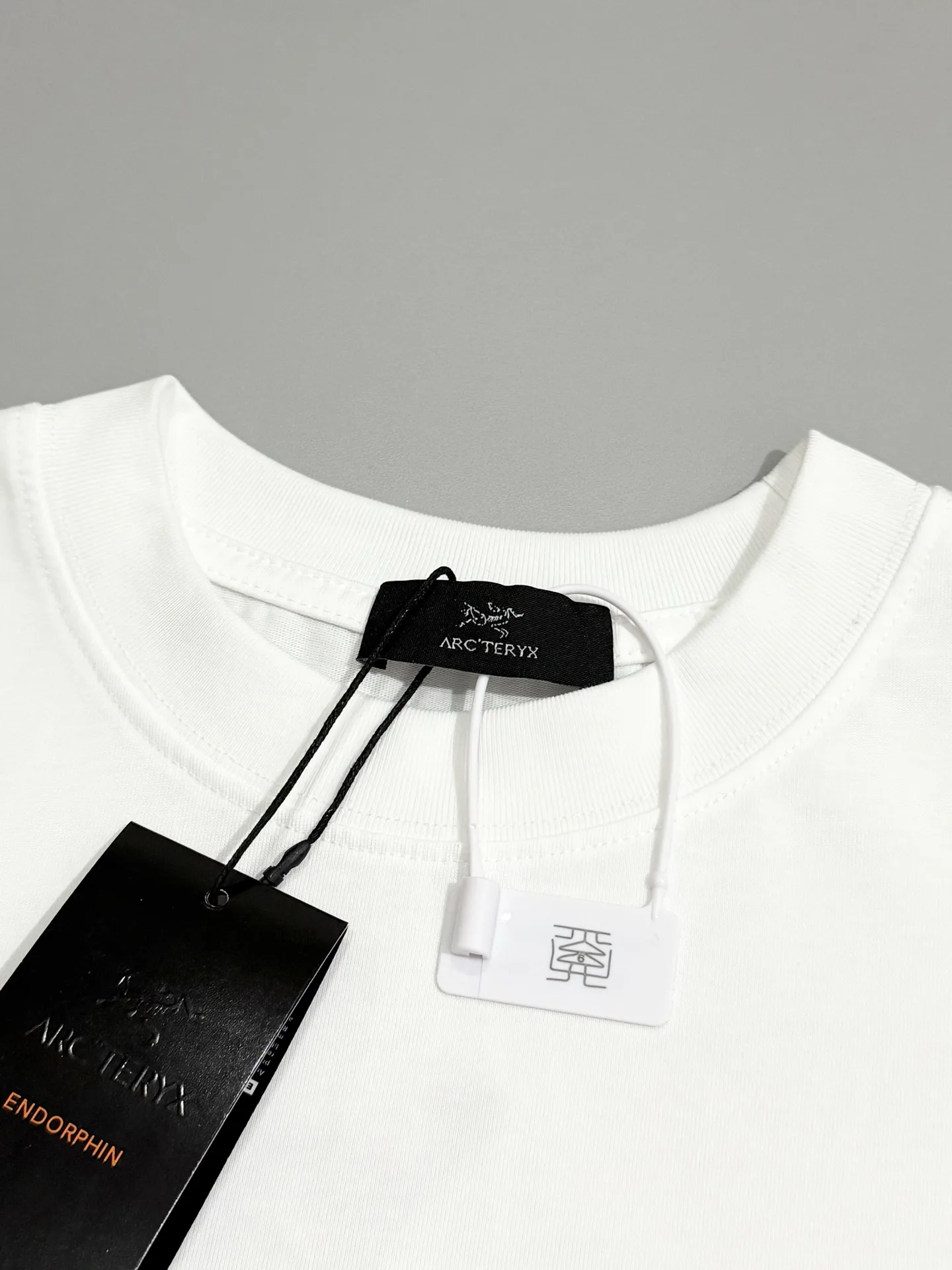 Gradient Bird Logo Cotton T-Shirt D13513348 — view 3
