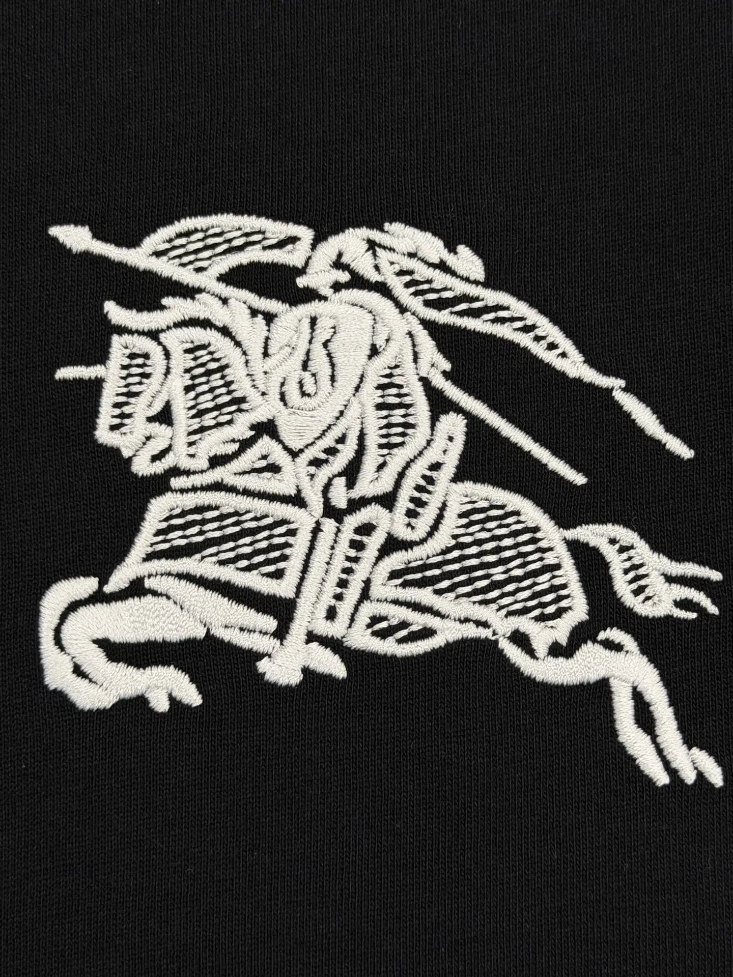 EKD Embroidered Cotton T-Shirt D13513367 — view 4