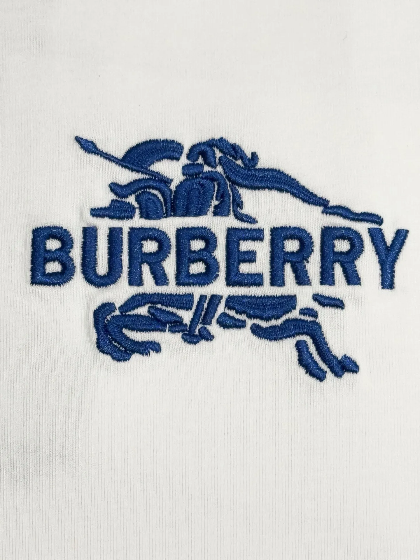 EKD Embroidered Cotton T-Shirt D13513097 — view 4
