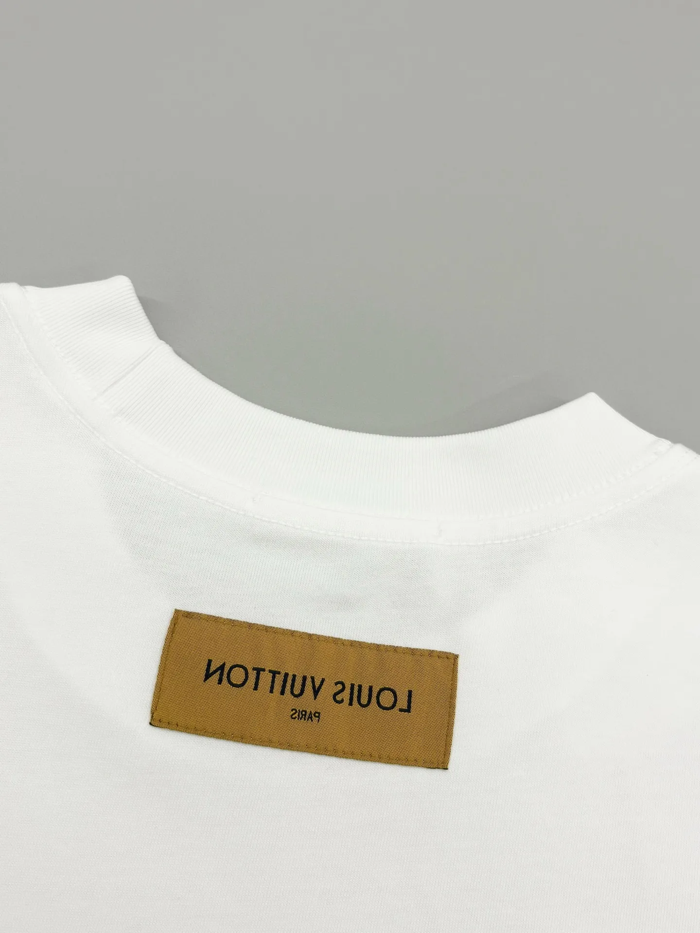 Embroidered Logo Oversized Cotton T-Shirt D13513360 — view 6