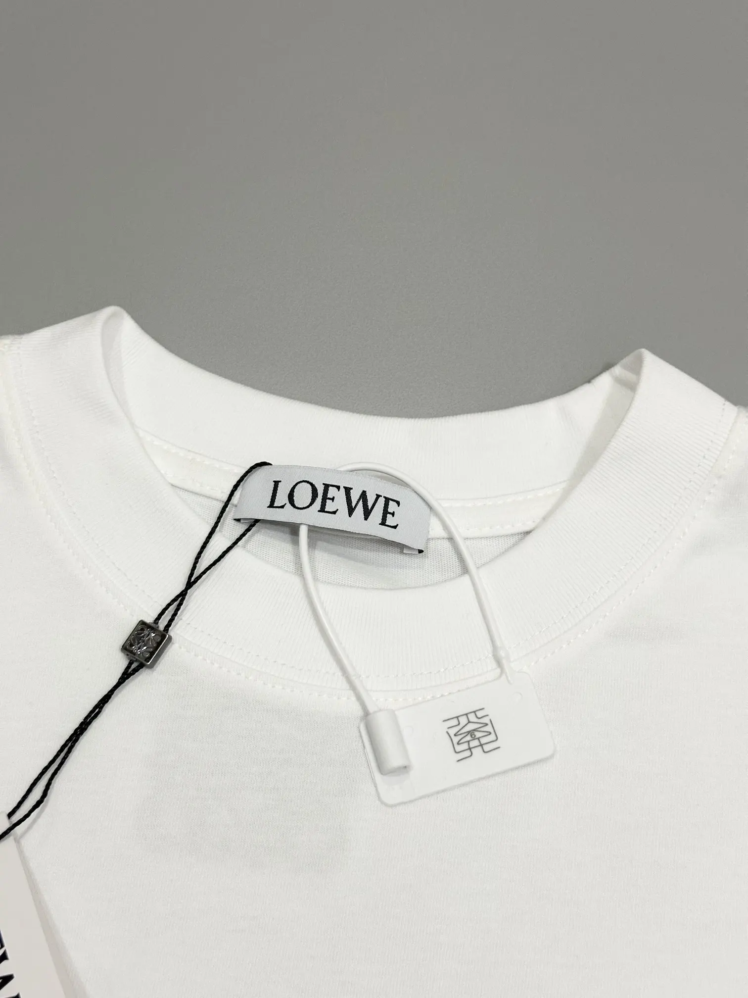 Anagram Logo Embroidered Cotton T-Shirt D13513260 — view 3