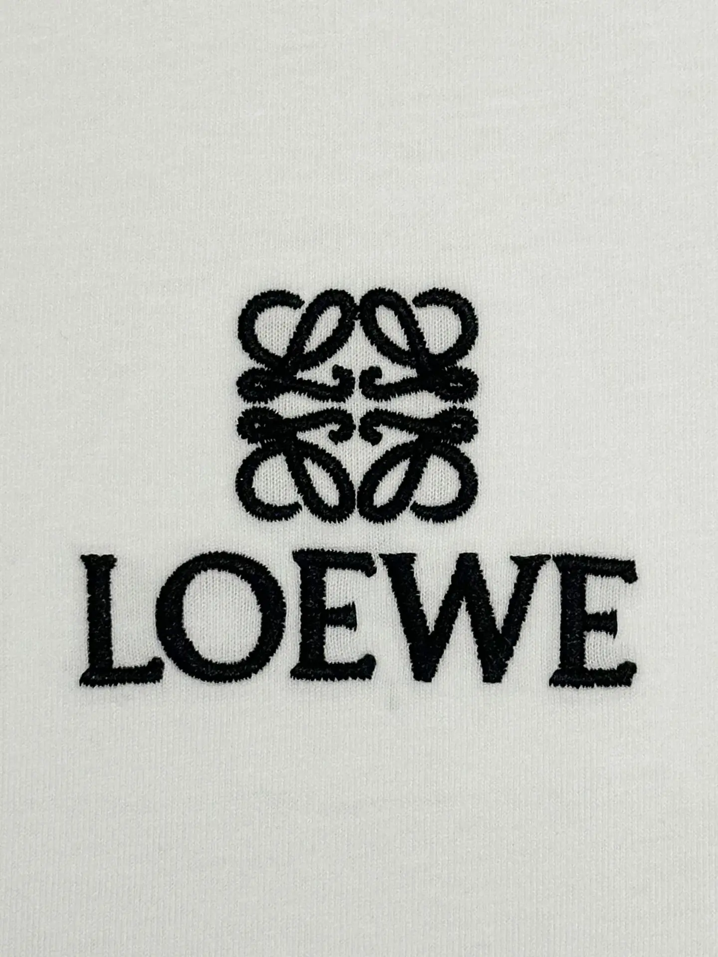 Anagram Logo Embroidered Cotton T-Shirt D13513260 — view 4