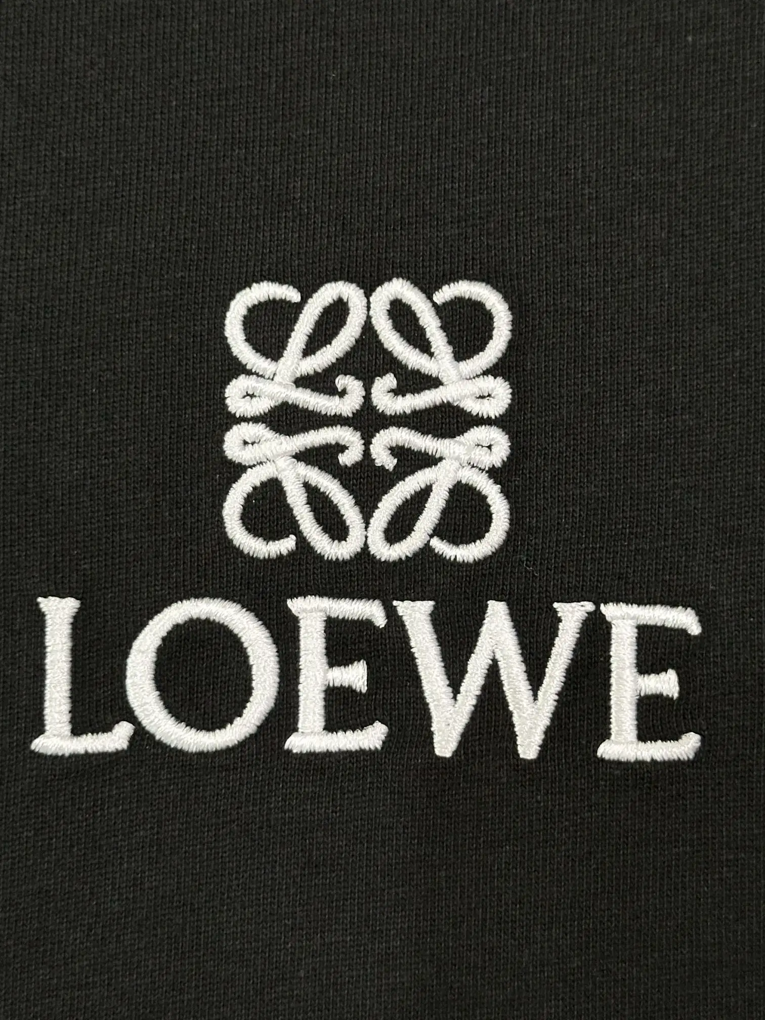 Anagram Embroidered Cotton T-Shirt D13513261 — view 4