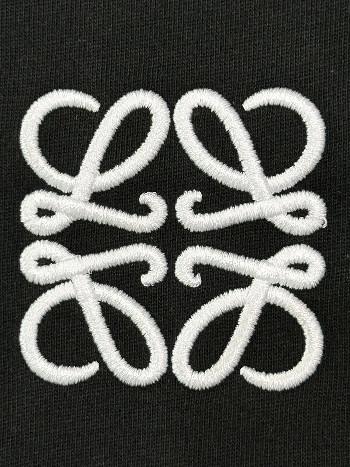 Anagram Embroidered Cotton T-Shirt D13513261 — view 6
