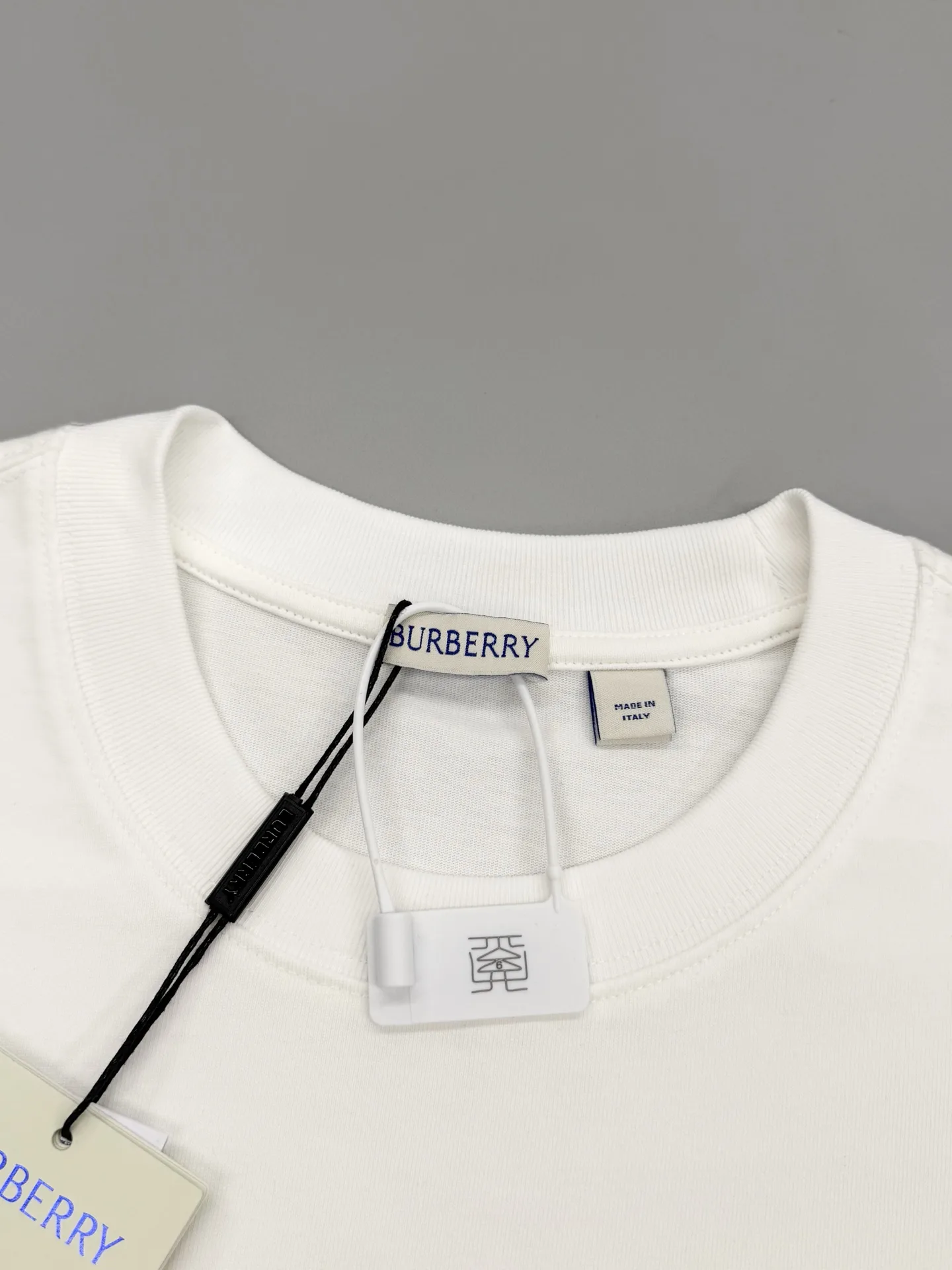 Embroidered Crest Cotton T-Shirt D14013071 — view 3