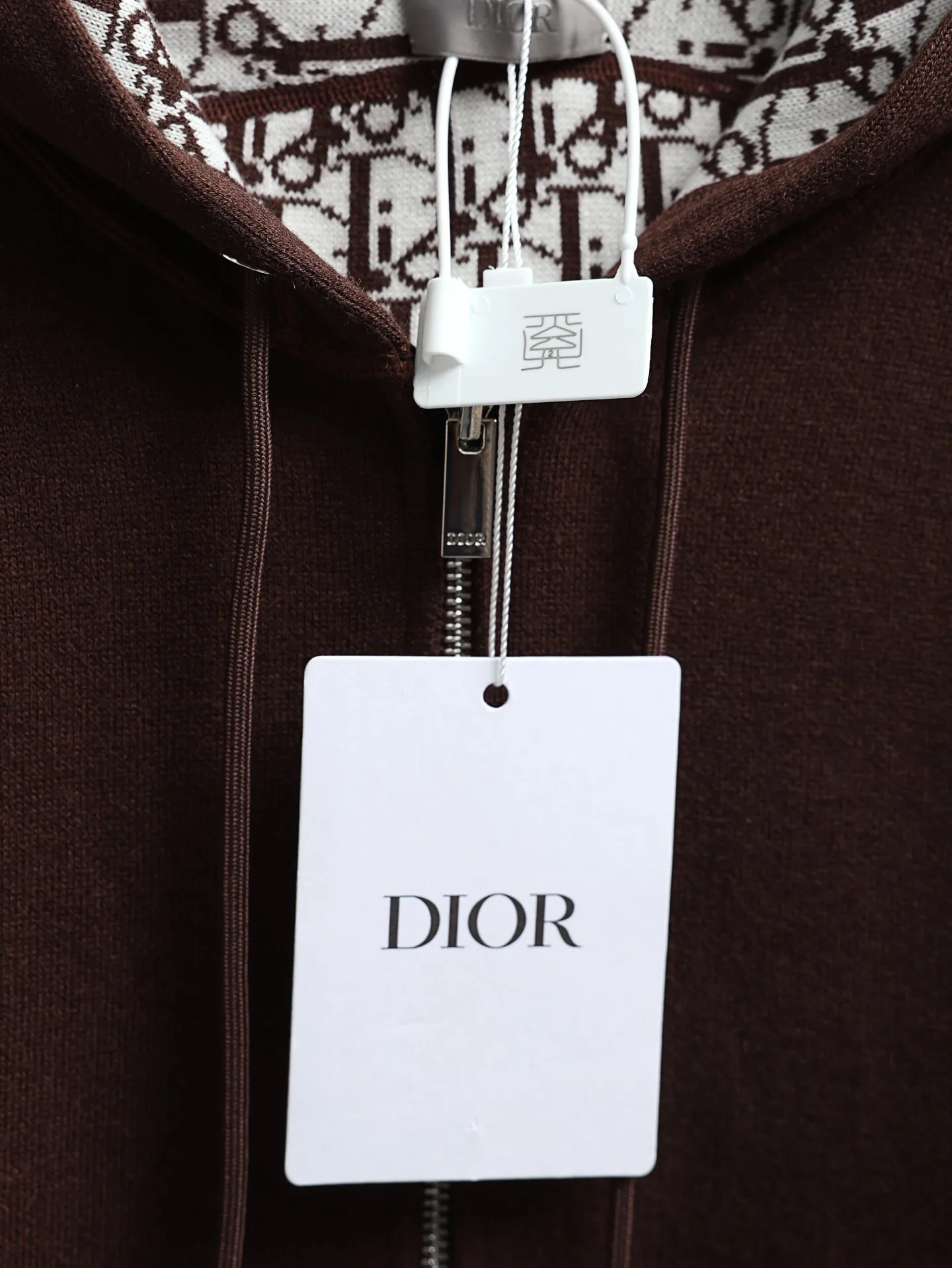 Oblique Lining Zip-Up Hooded Sweatshirt D34520602 — view 5