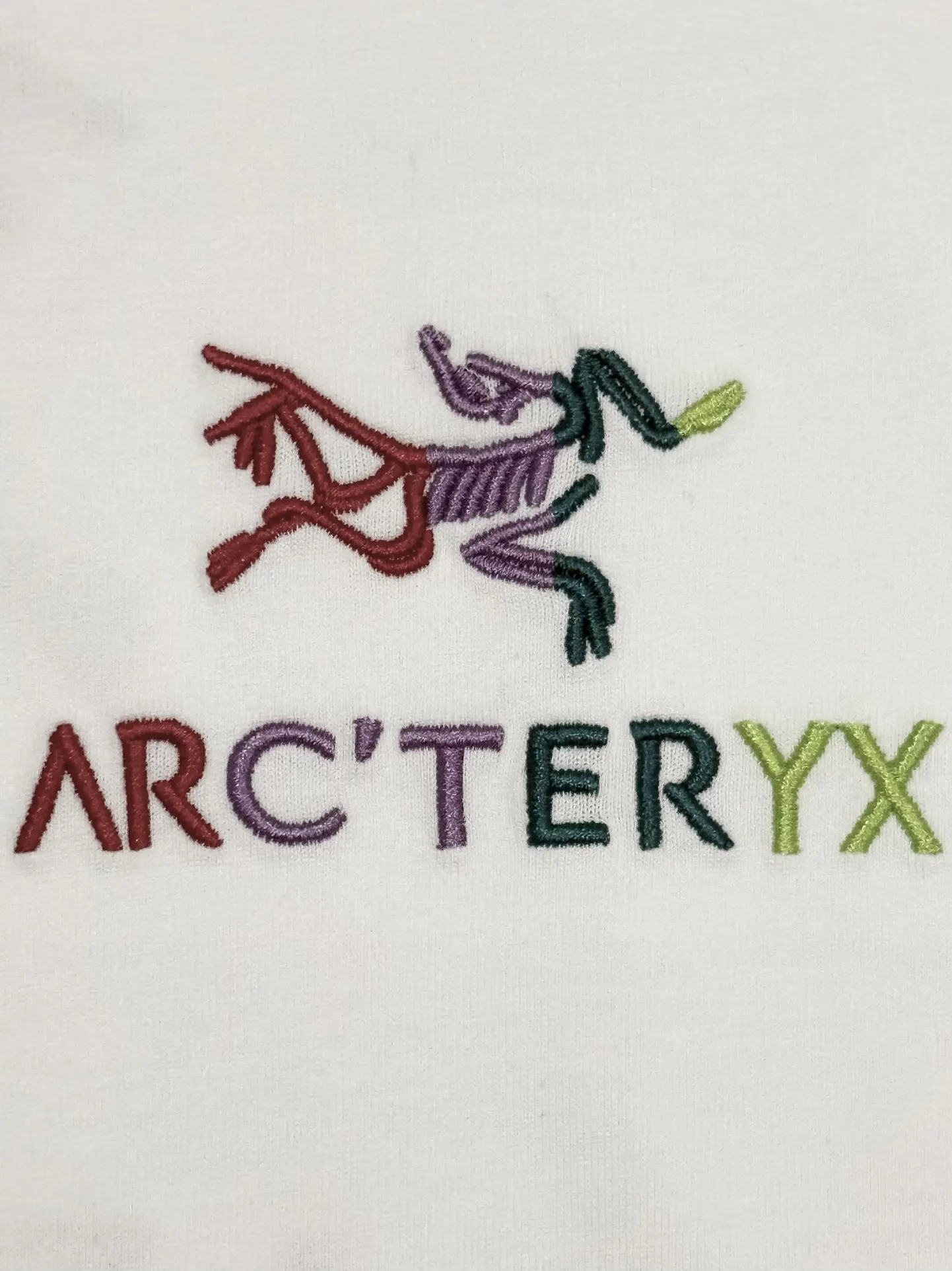 Embroidered Logo Cotton T-Shirt D13513268 — view 4