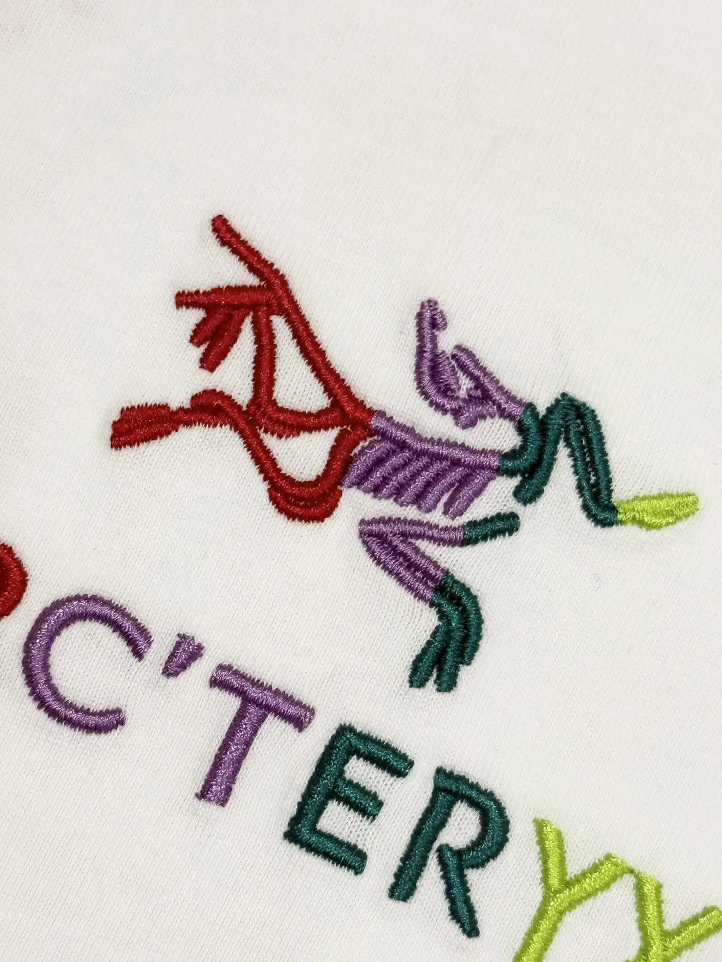 Embroidered Logo Cotton T-Shirt D13513268 — view 5