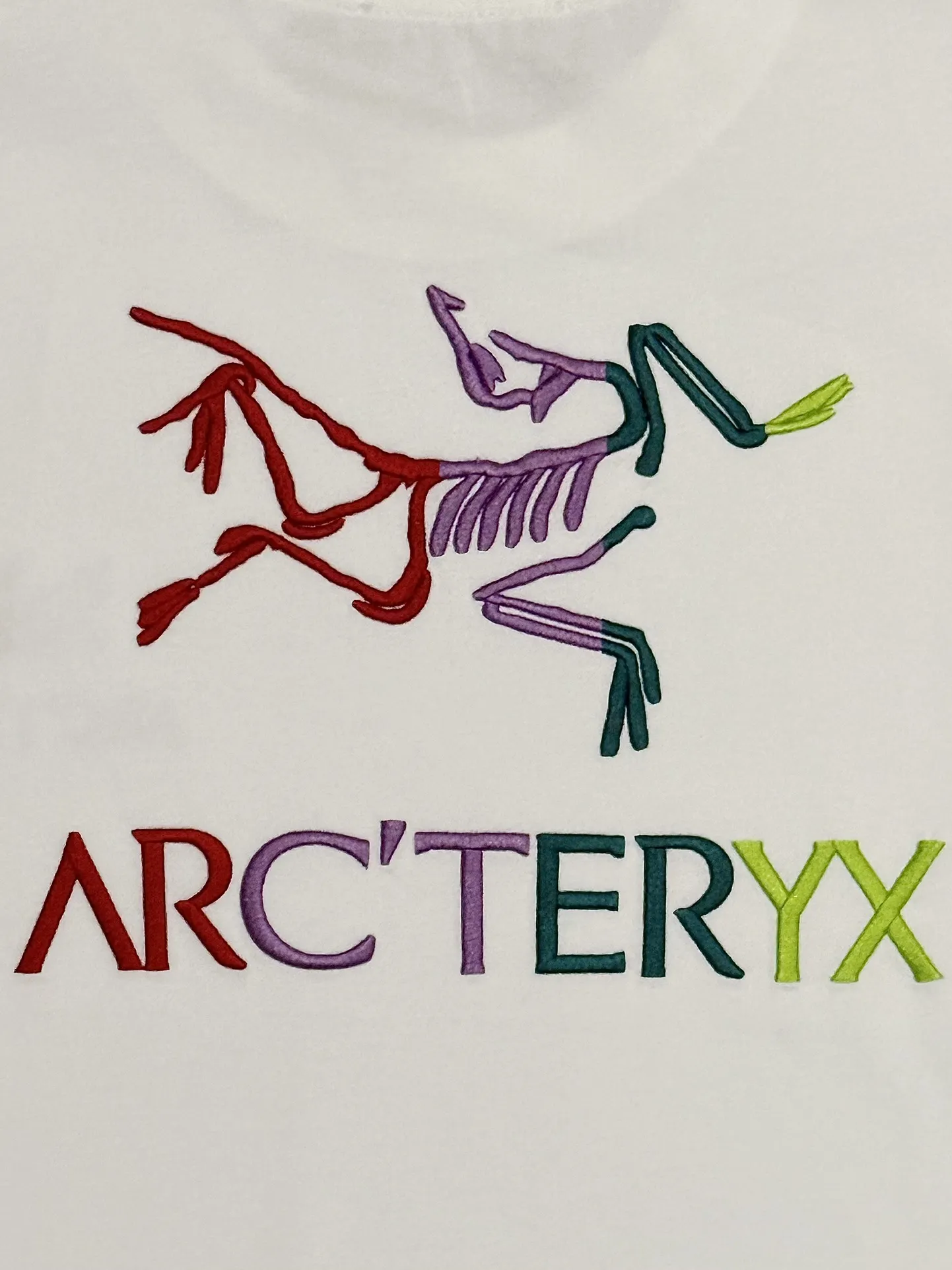 Embroidered Logo Cotton T-Shirt D13513268 — view 7