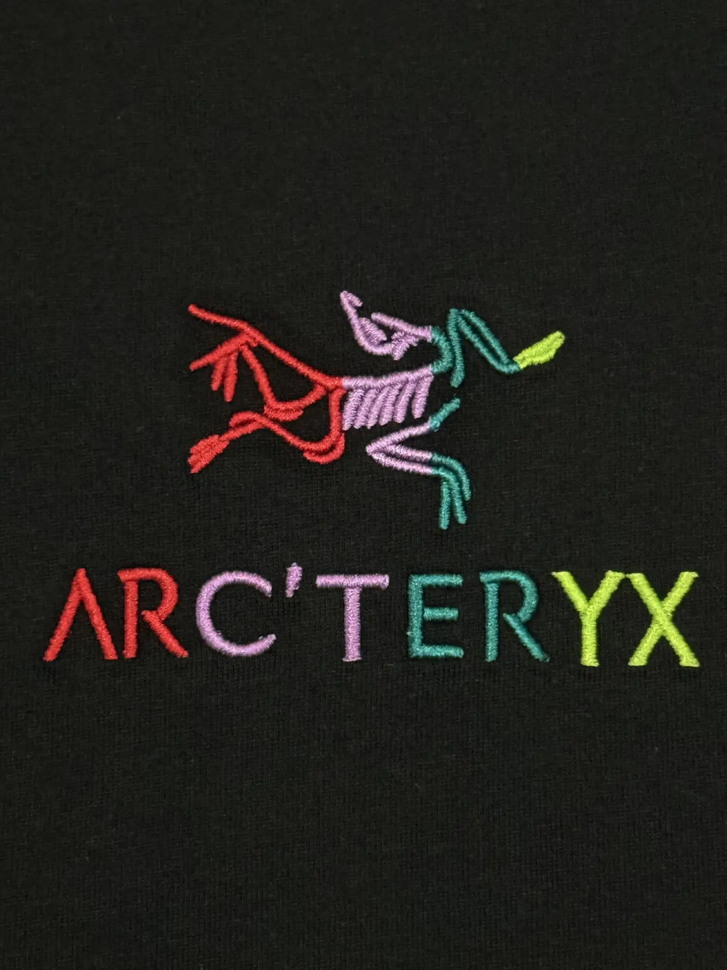 Embroidered Logo Cotton T-Shirt D13513269 — view 4