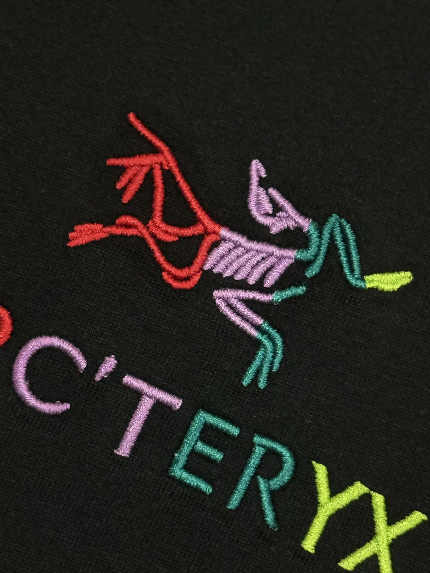 Embroidered Logo Cotton T-Shirt D13513269 — view 5
