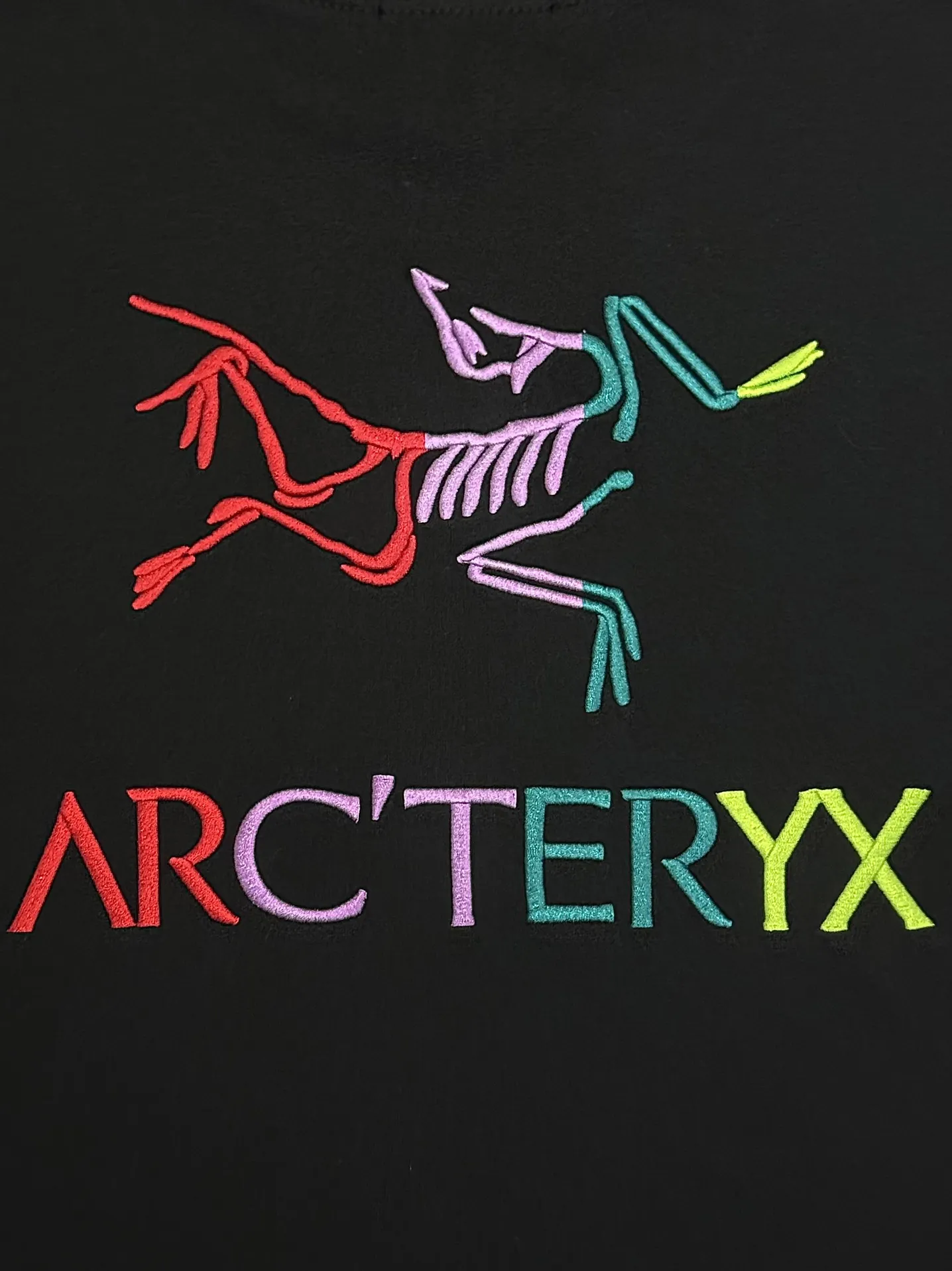 Embroidered Logo Cotton T-Shirt D13513269 — view 6