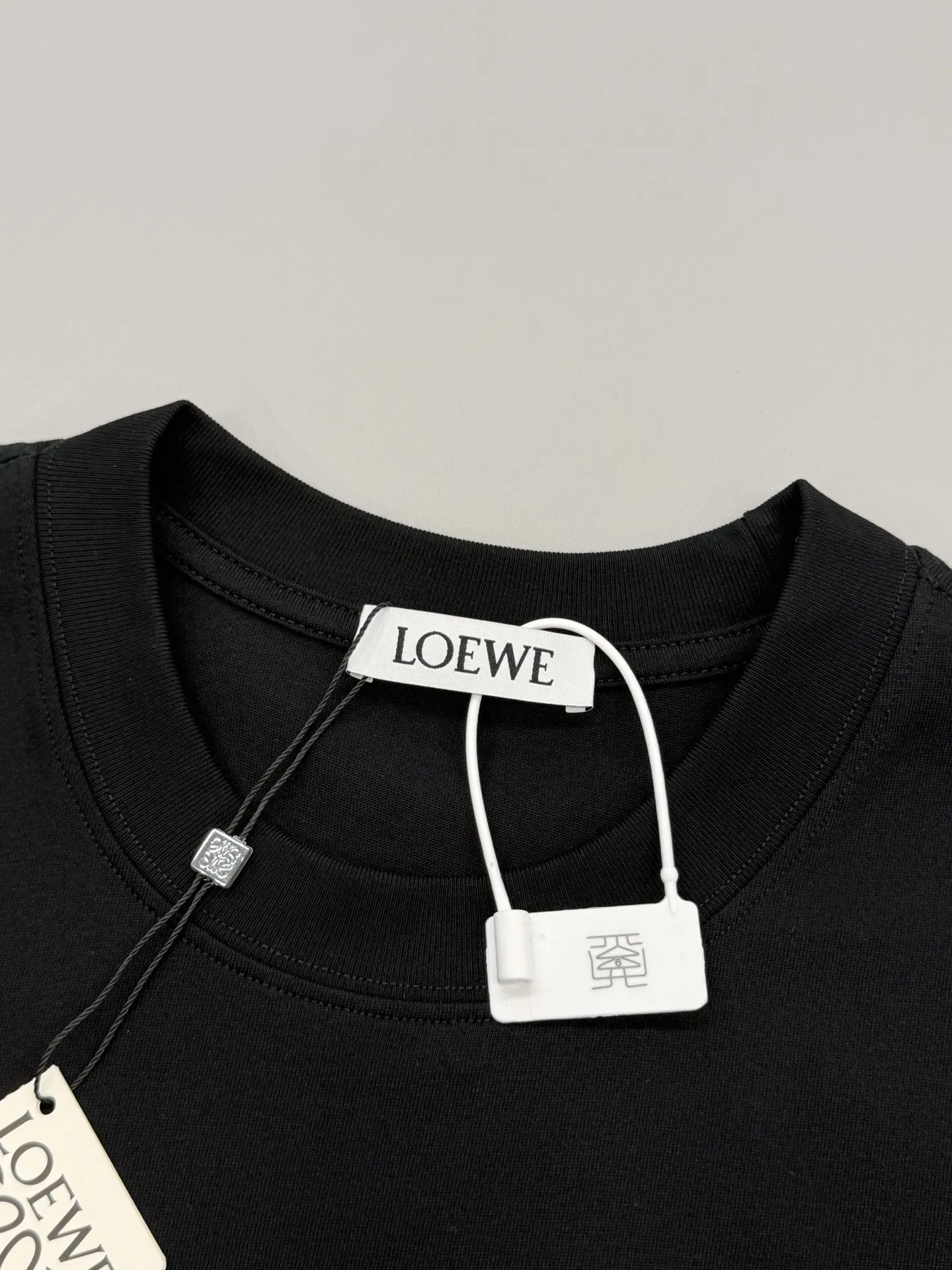 Anagram Embroidered Cotton T-Shirt D13513375 — view 3