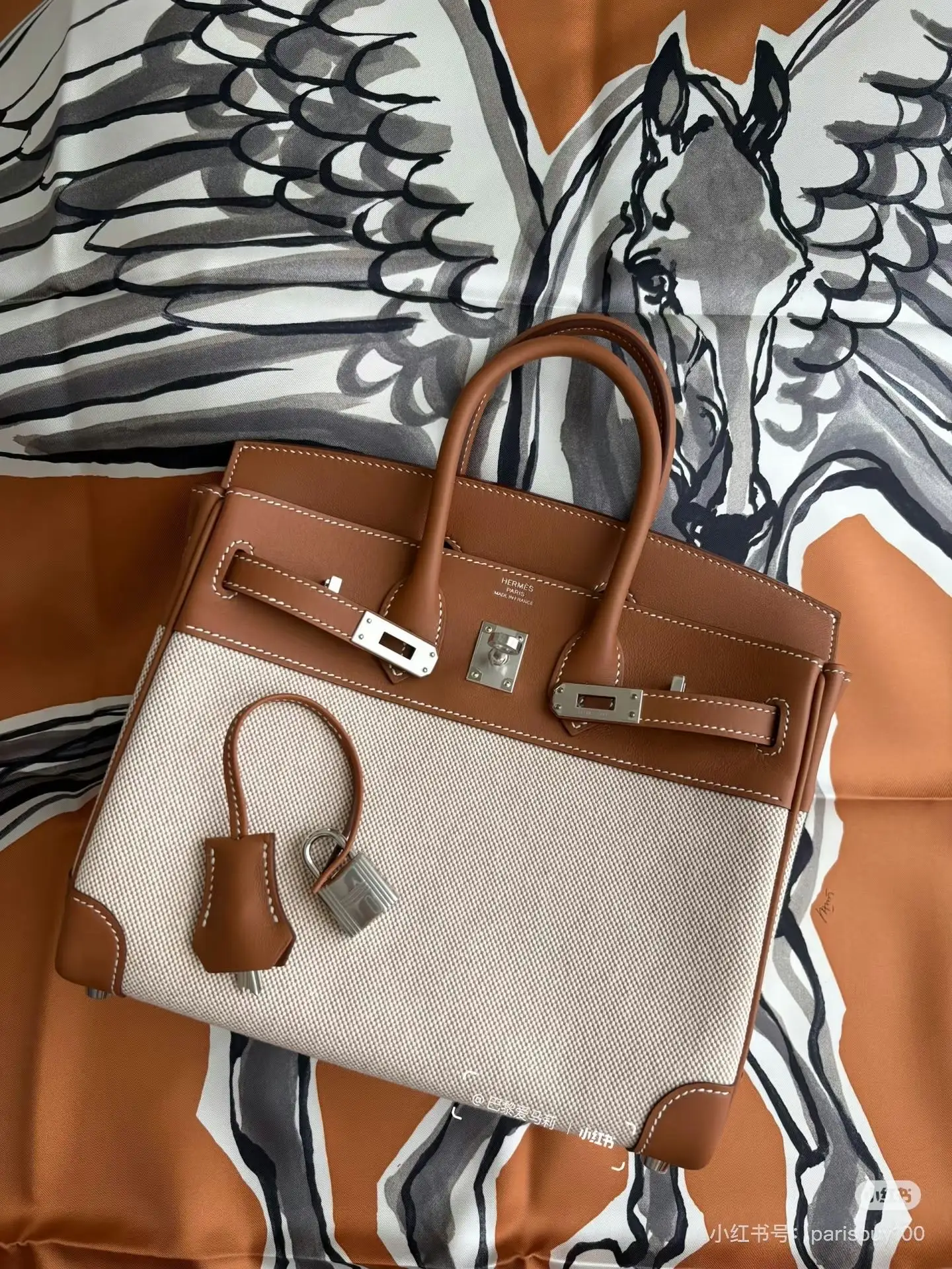Birkin Canvas & Leather Top-Handle Bag D59017775