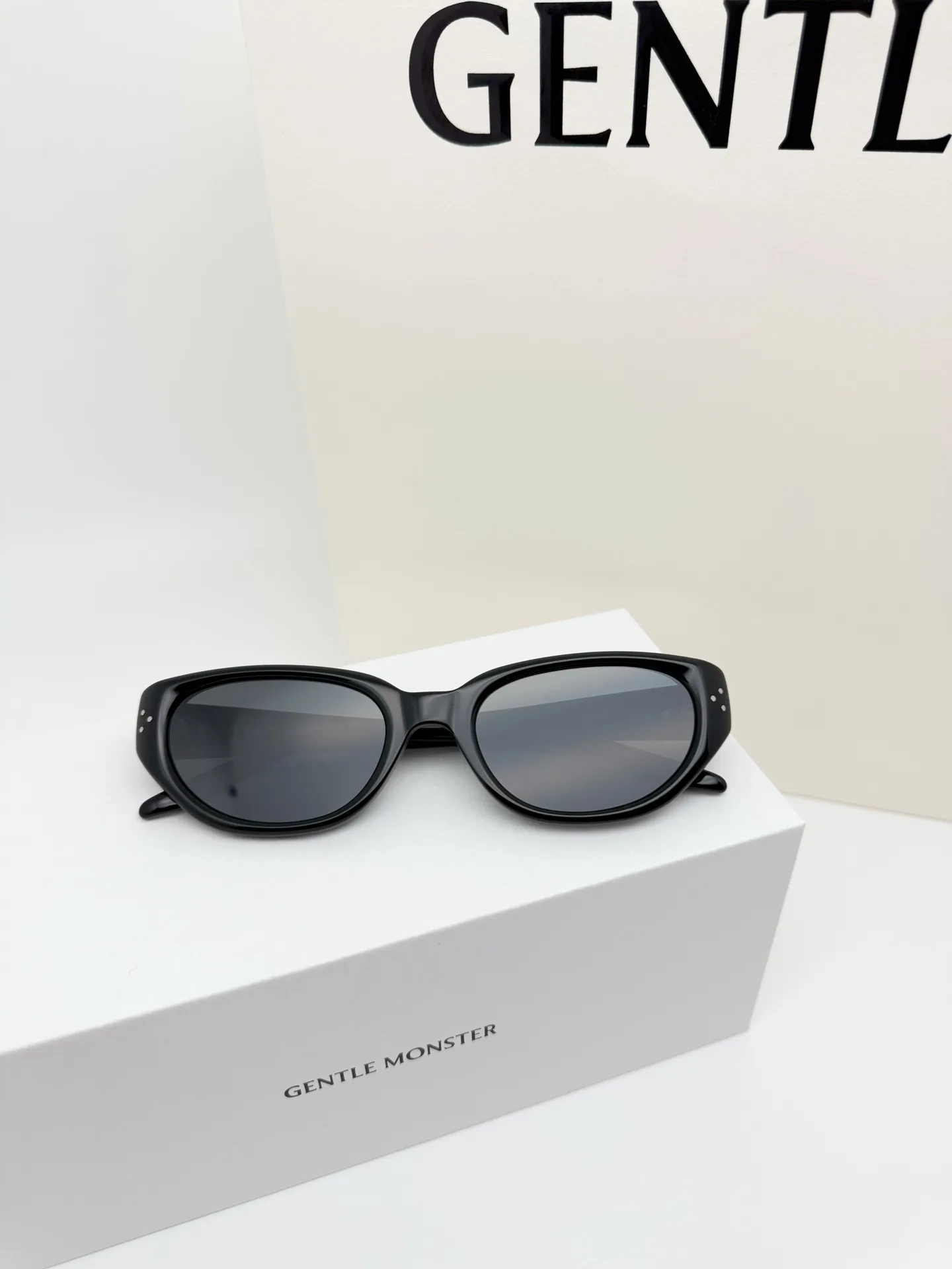 BONI Cat-Eye Sunglasses D34018557 — view 3