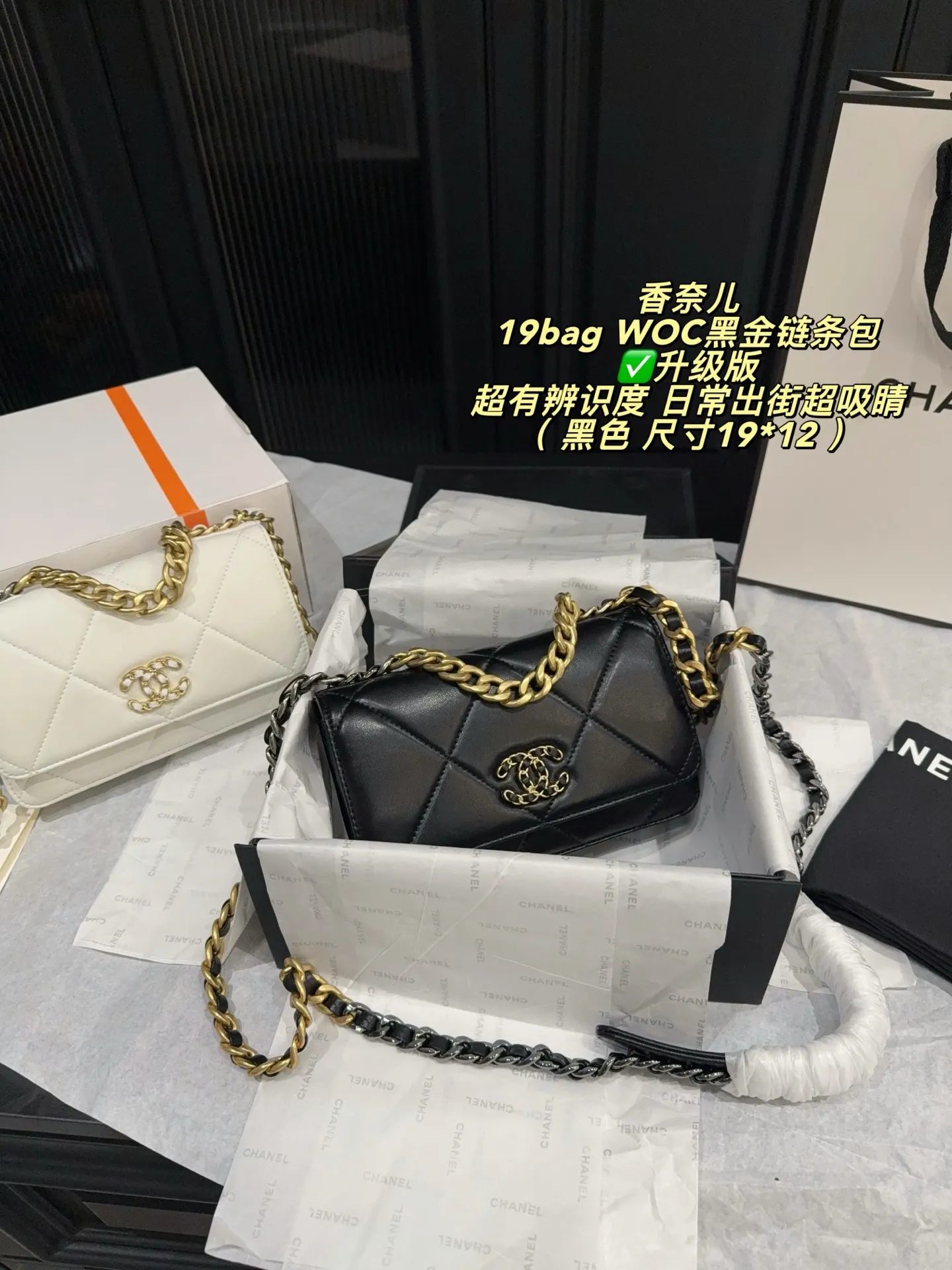 Chanel 19 WOC Quilted Chain Bag D26518304