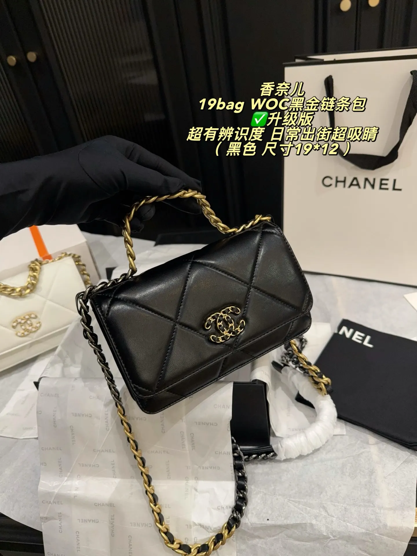 Chanel 19 WOC Quilted Chain Bag D26518304 — view 2
