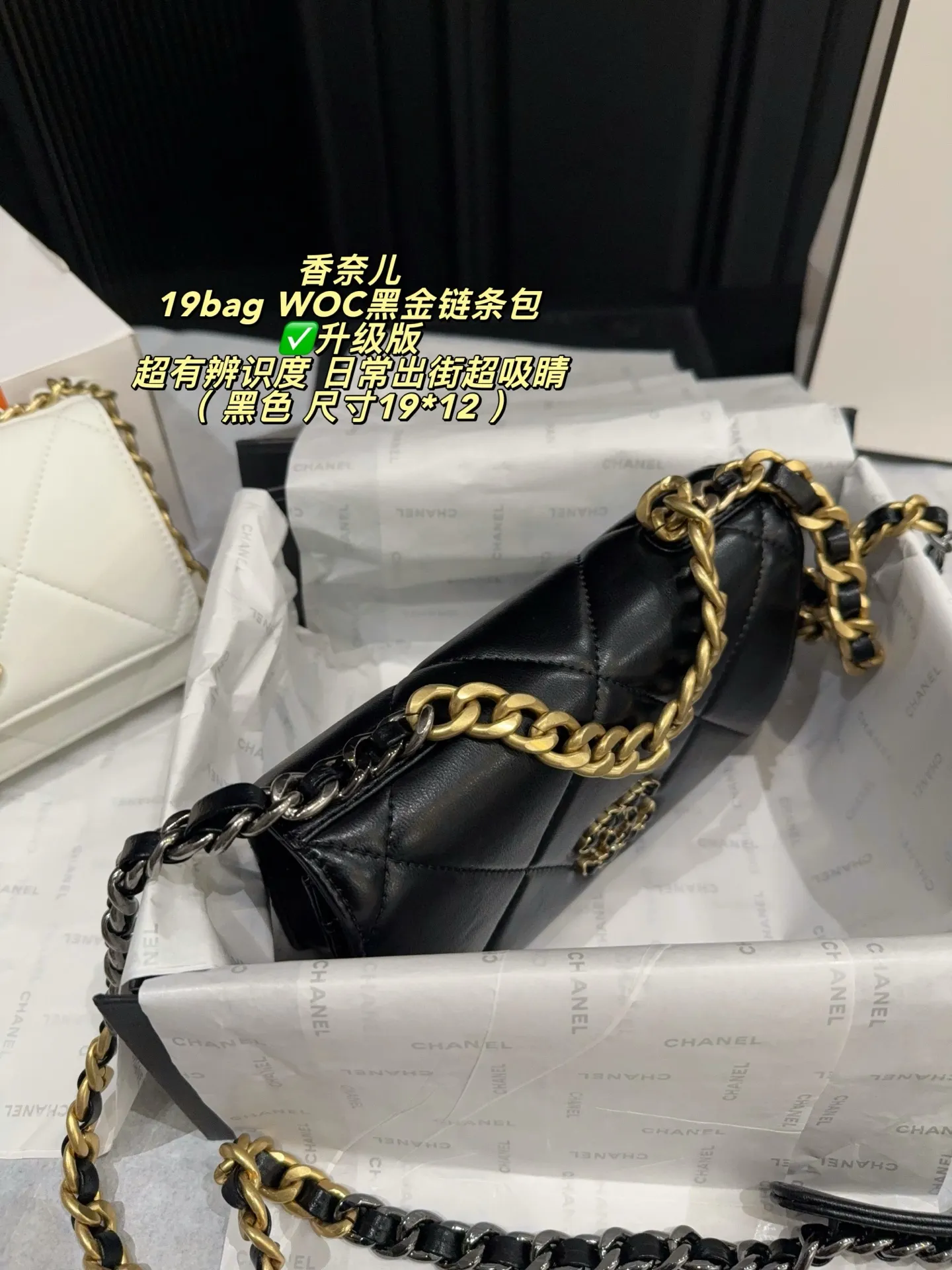 Chanel 19 WOC Quilted Chain Bag D26518304 — view 3
