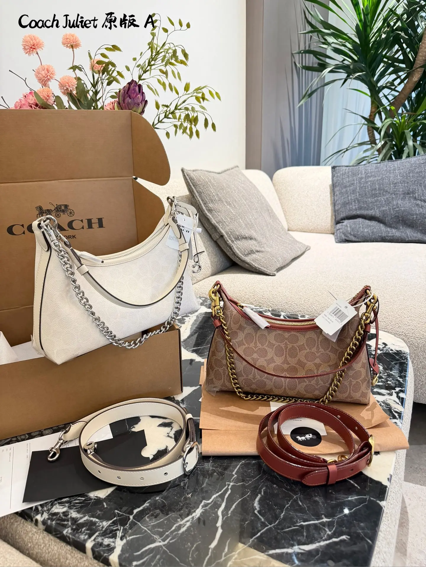 Coach Juliet Shoulder Bag D31018059