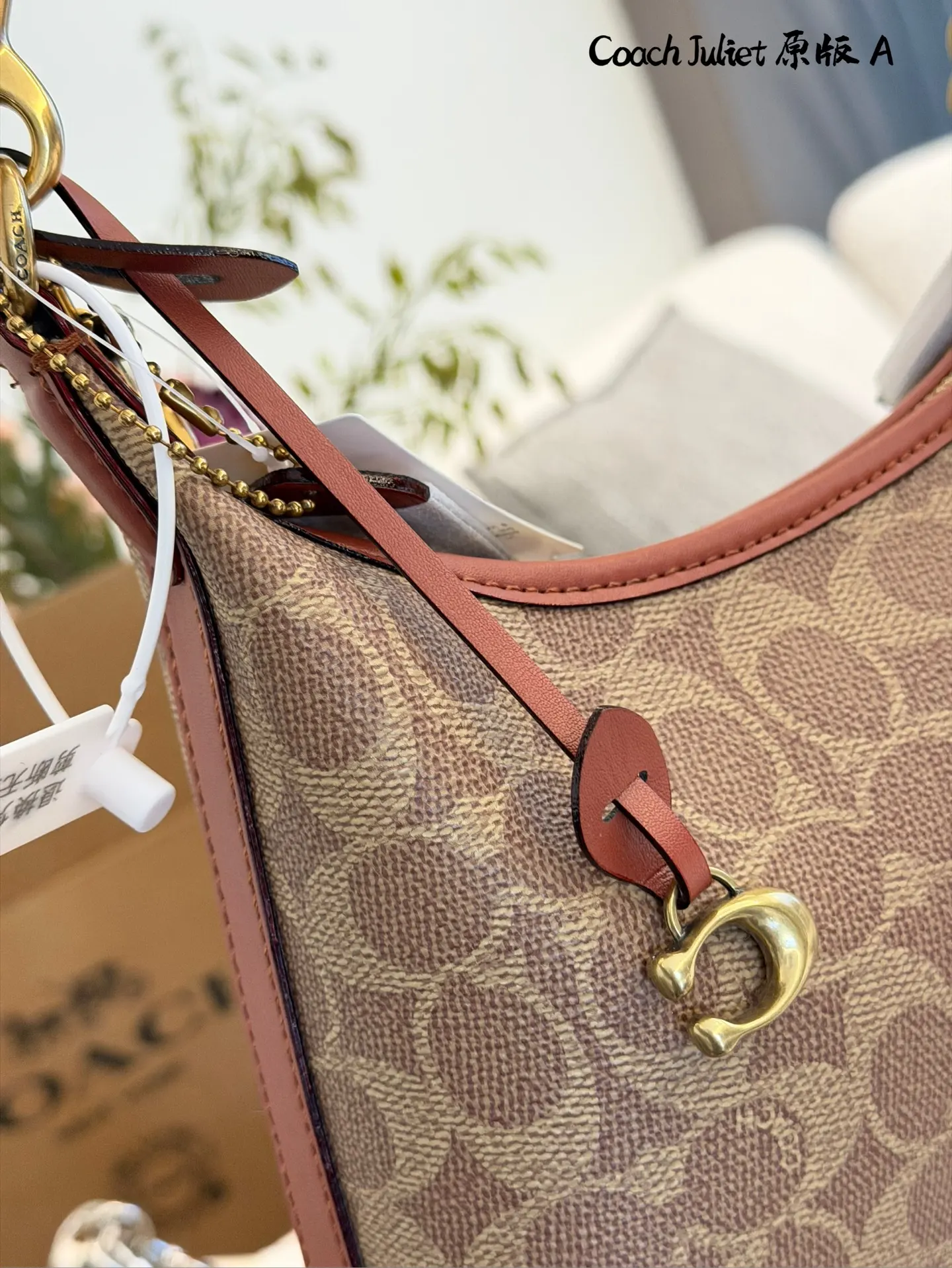 Coach Juliet Shoulder Bag D31018059 — view 4