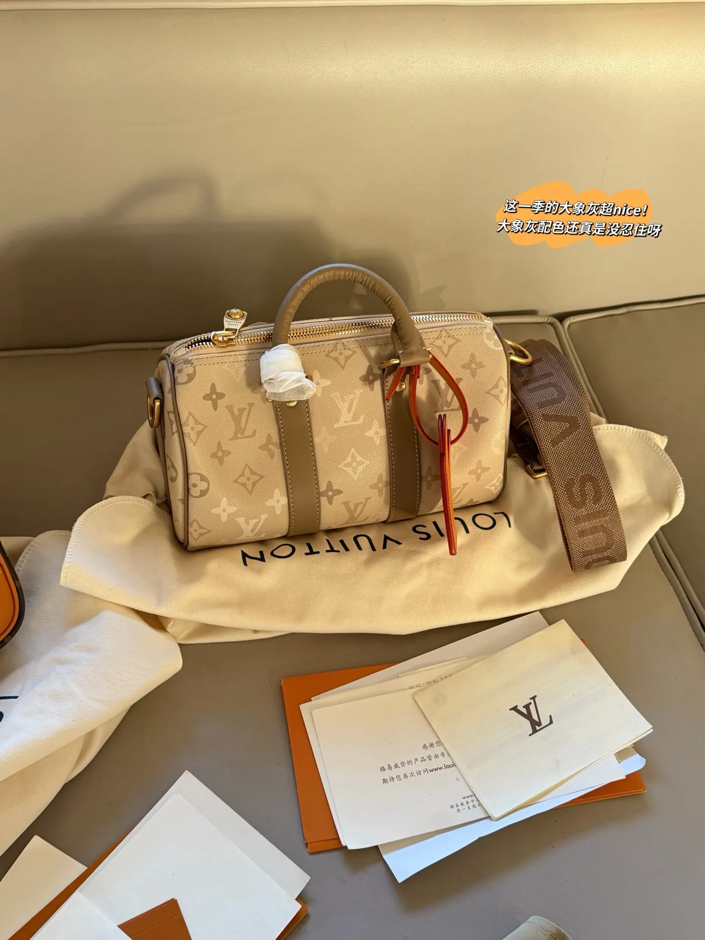 Monogram Canvas Speedy Bandoulière 25 D35518231
