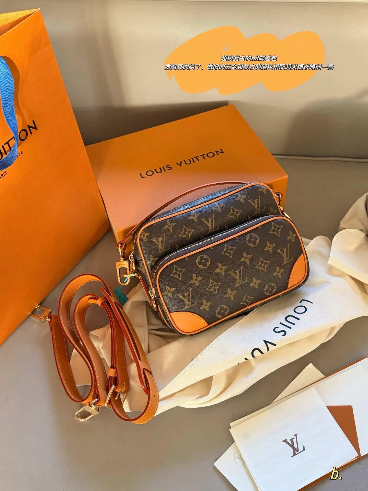 Monogram Canvas Camera Bag D36018233