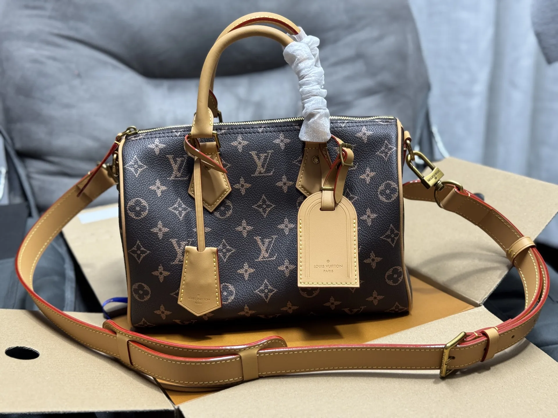 Louis Vuitton Speedy 25 Monogram Handbag D51017871