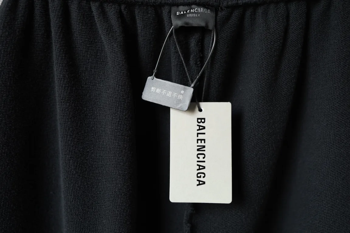 Lion Crest Embroidered Wide-Leg Sweats D25518778 — view 18