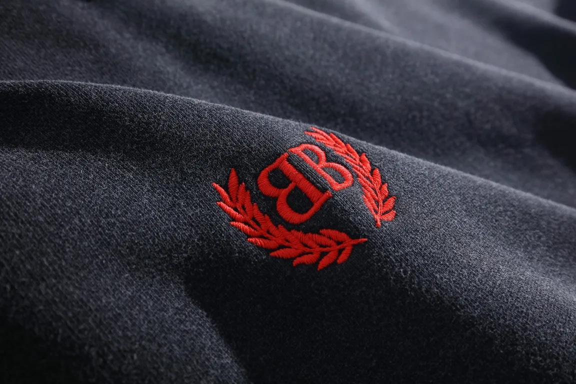 Washed Distressed Logo Embroidery Hoodie D27921286 — view 3