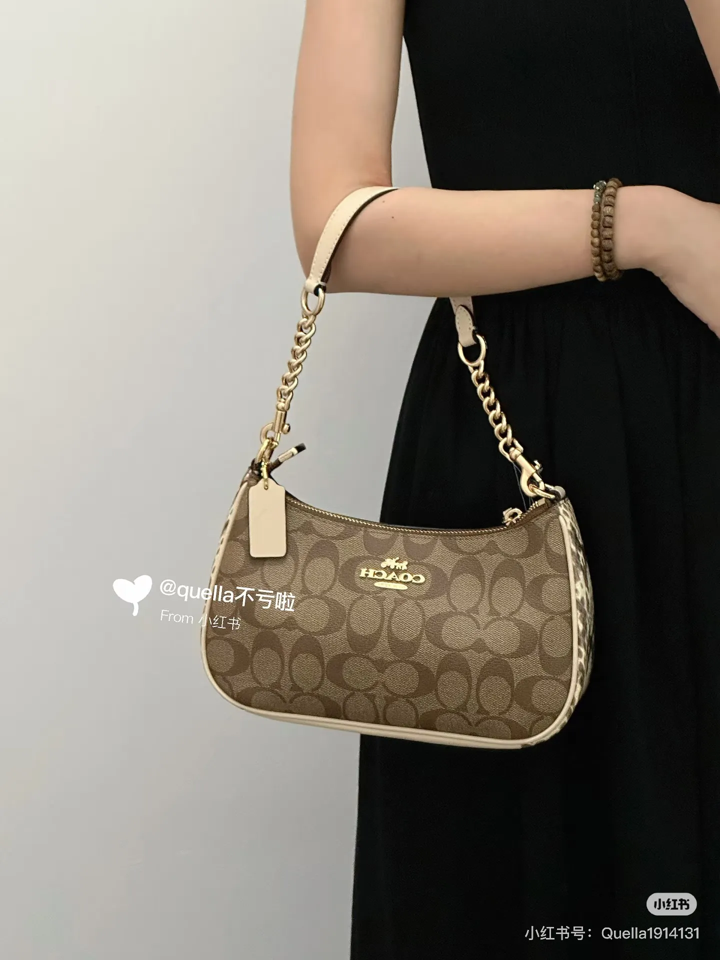 Teri Monogram Shoulder Bag D30018146