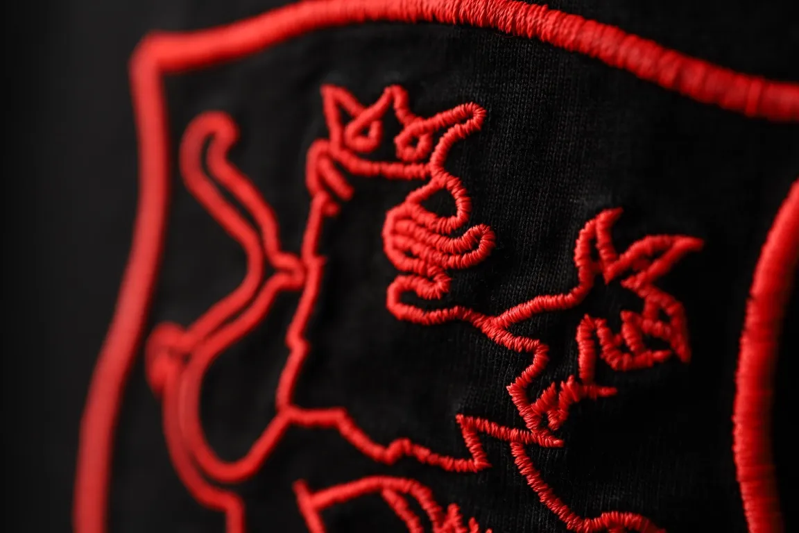 Embroidered Crest Logo Oversized T-Shirt D16918805 — view 7