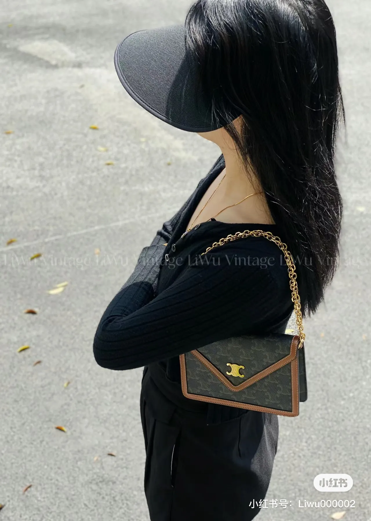 Triomphe Canvas Chain Envelope Bag D28018497