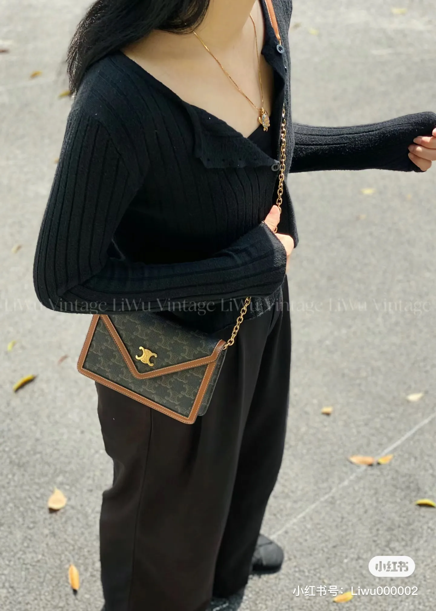 Triomphe Canvas Chain Envelope Bag D28018497 — view 8