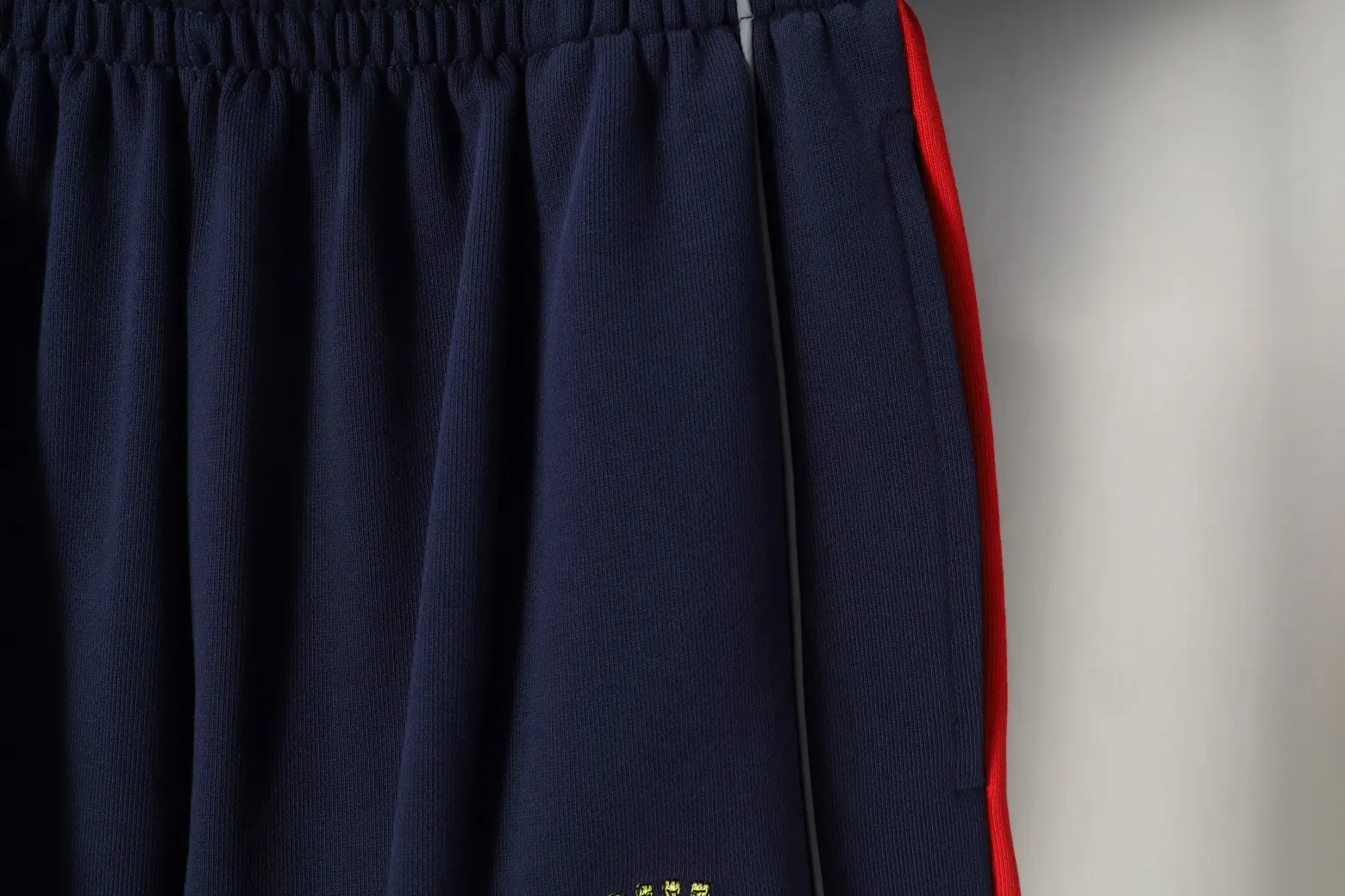 Lion Crest Embroidered Baggy Sweat Shorts D17521263 — view 5