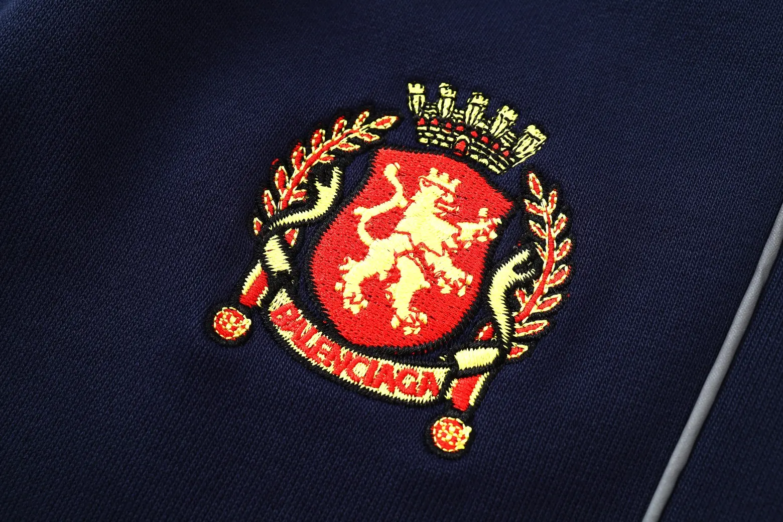Lion Crest Embroidered Baggy Sweat Shorts D17521263 — view 12