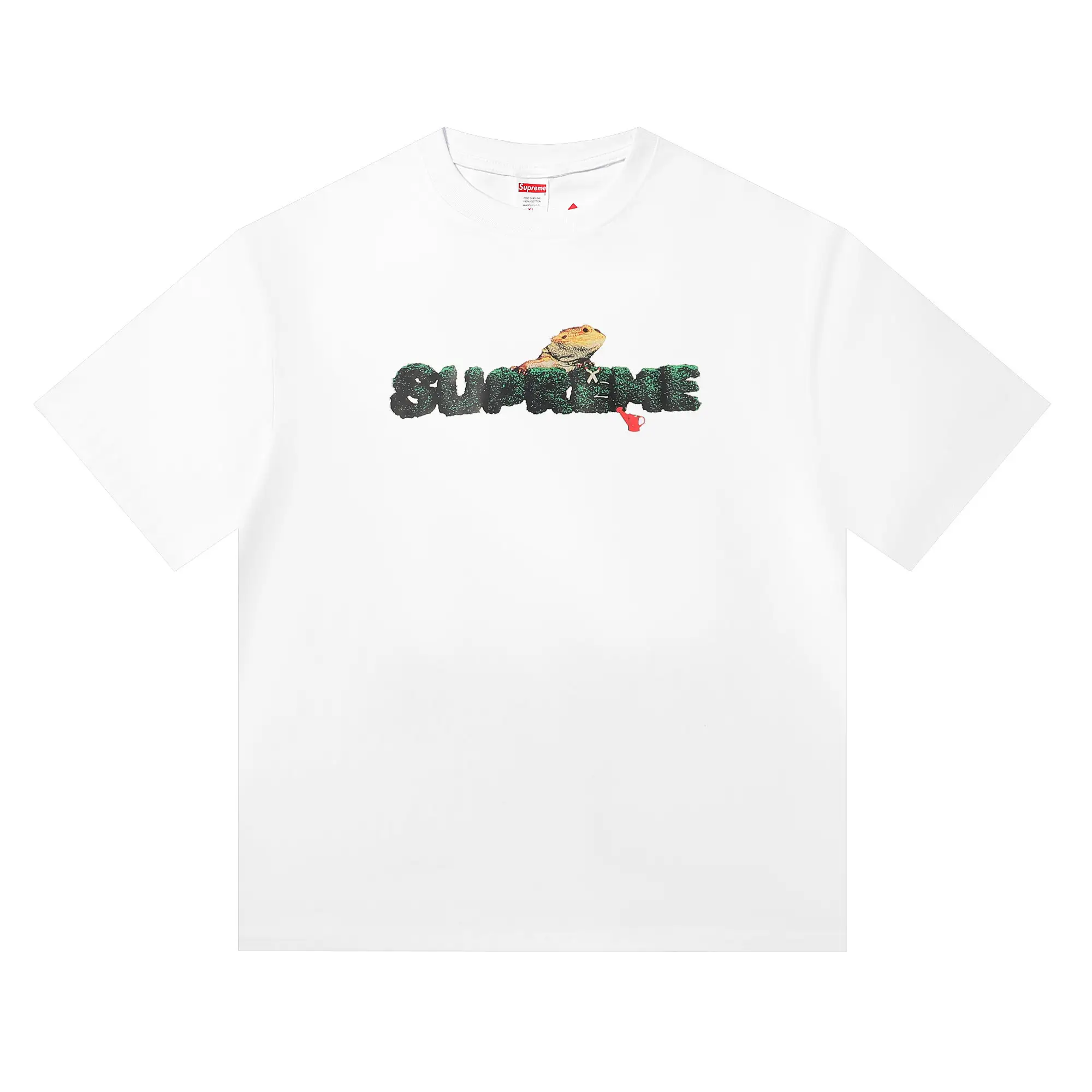 Lizard Graphic Logo T-Shirt D4815663