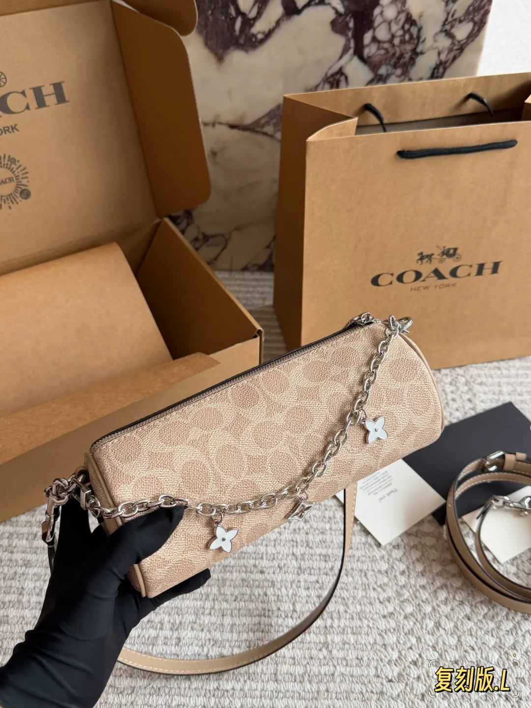Coach Mini Boston Pillow Bag D27016131