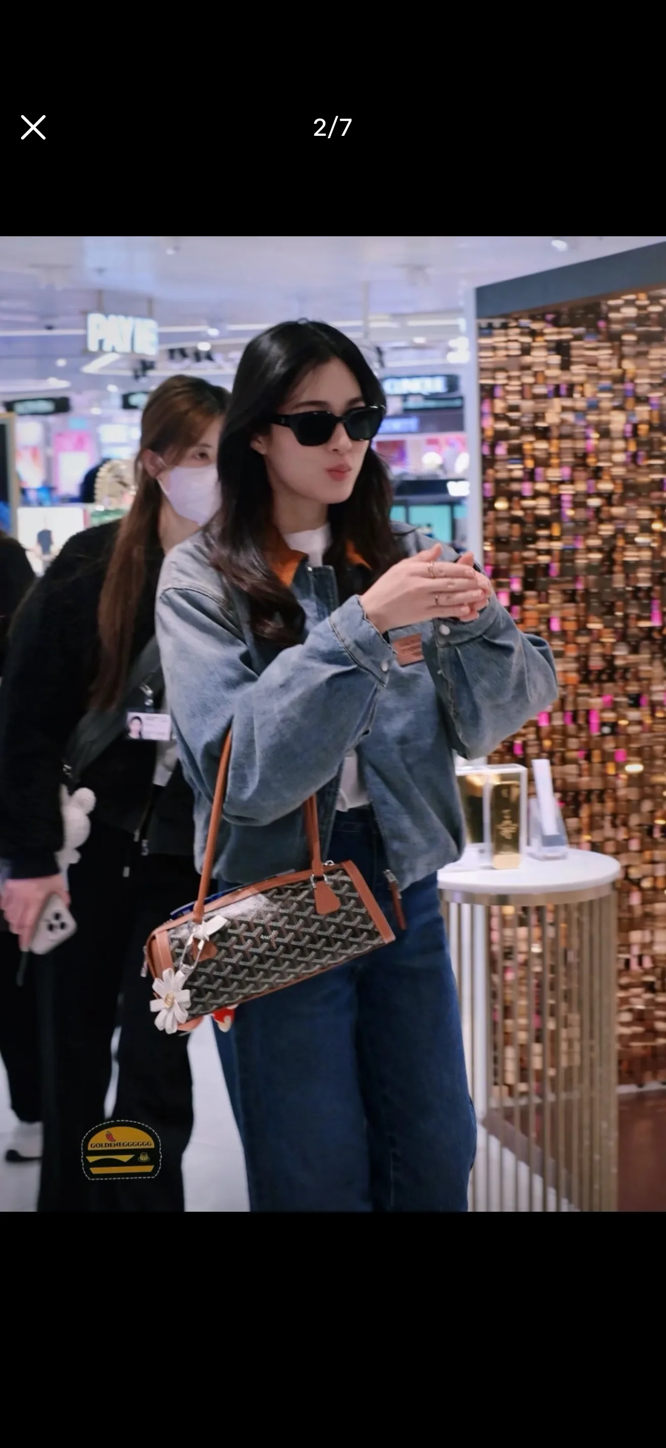 Goyard Baguette Shoulder Bag D33016136 — view 6