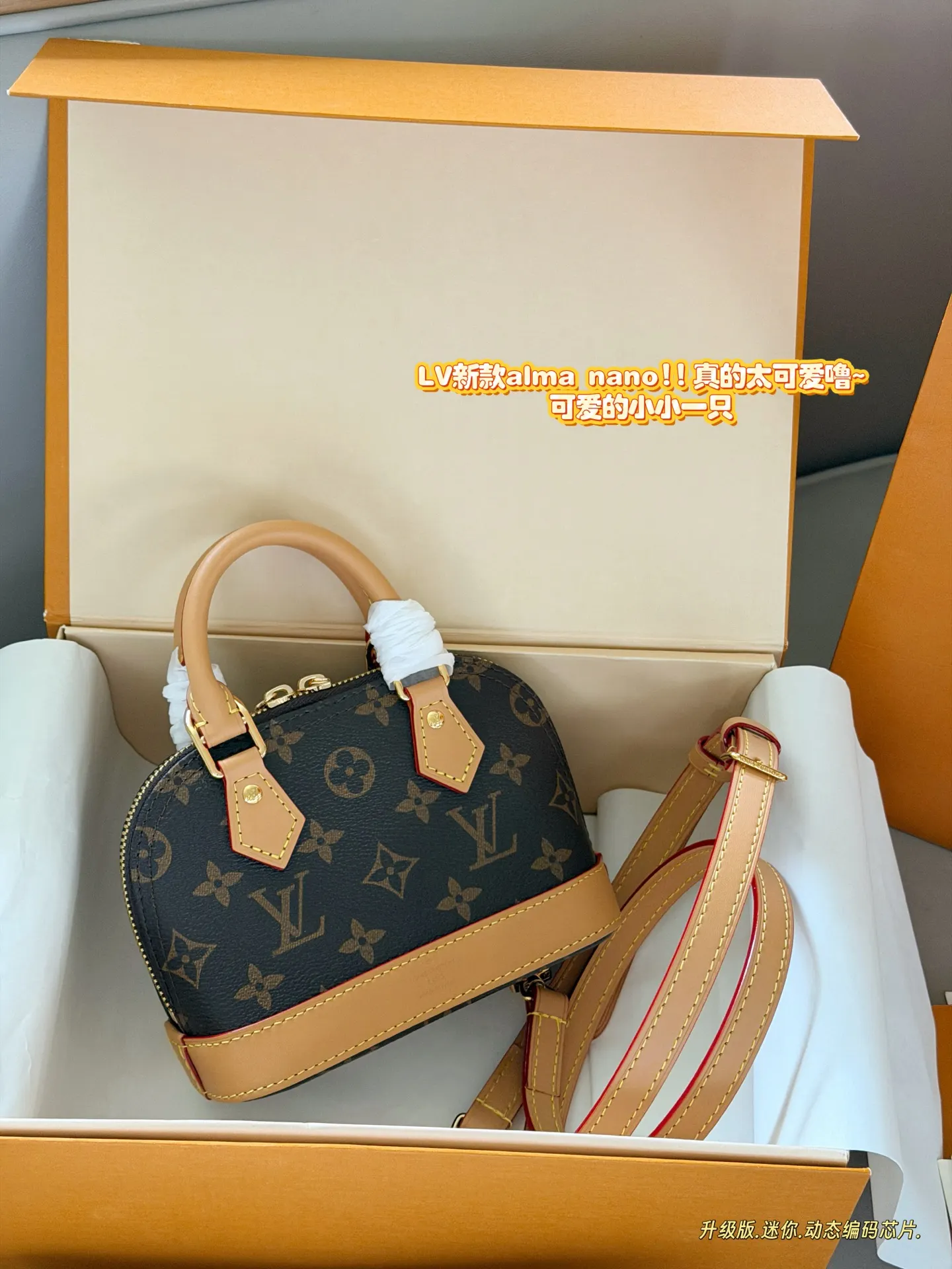 Louis Vuitton Alma Nano Monogram Crossbody Bag D34016179
