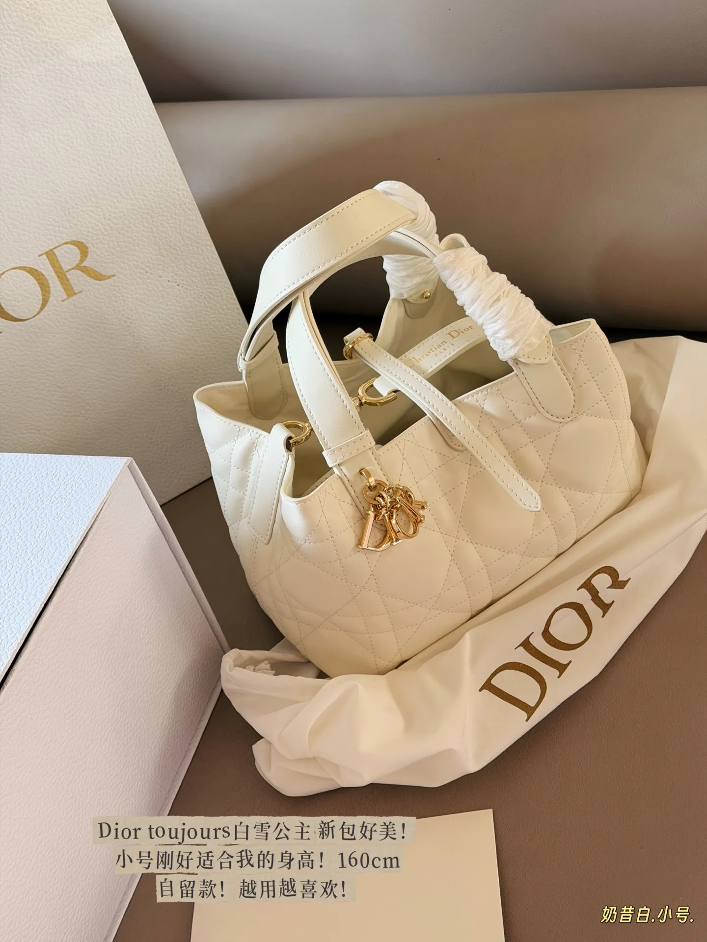 Dior Toujours Small Quilted Top-Handle Bag D41016209