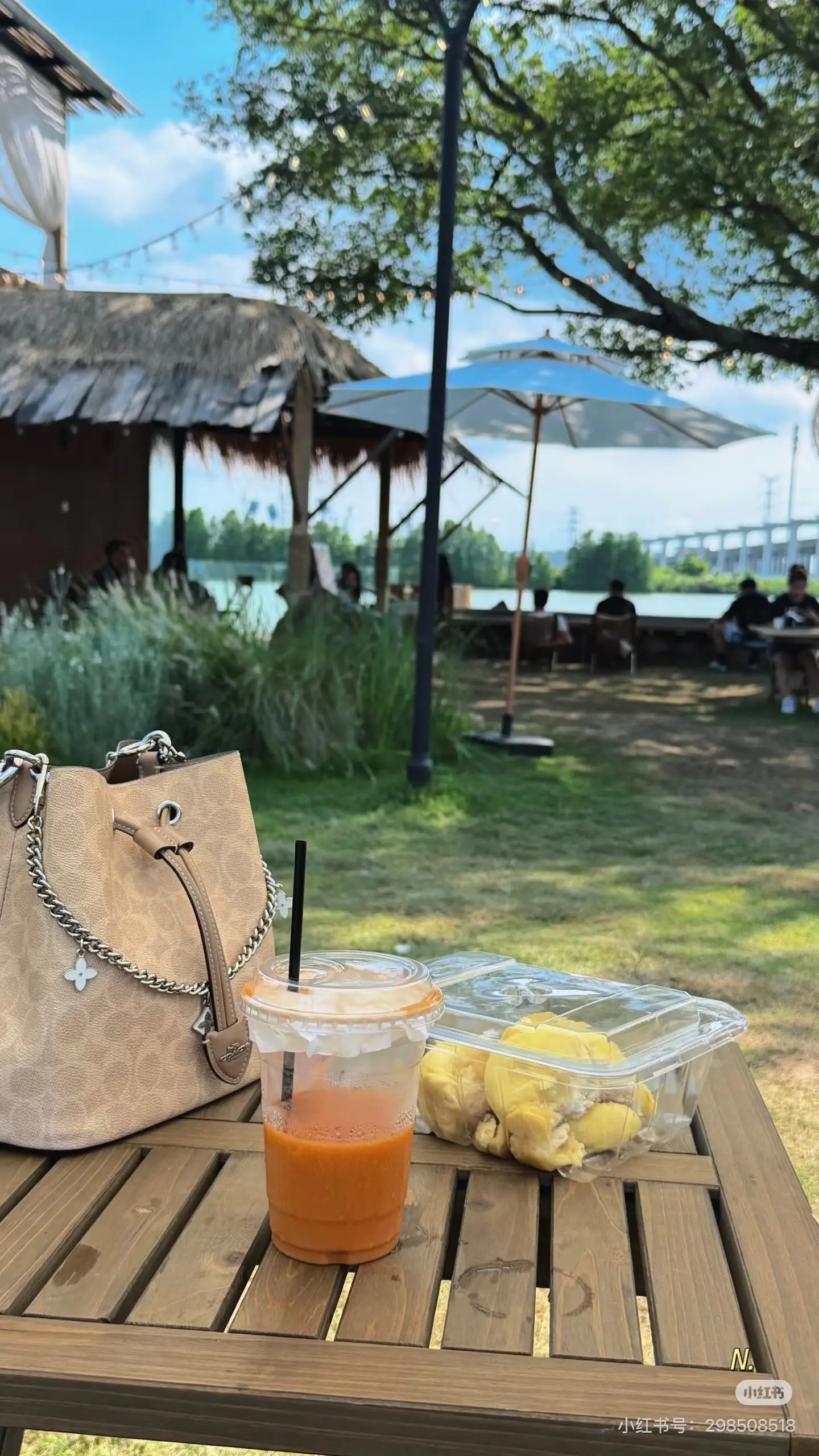 Coach Rowan 22 Signature Bucket Bag D34016216 — view 4
