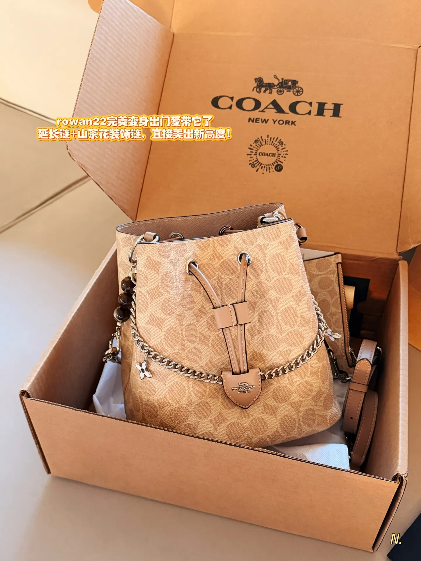 Coach Rowan 22 Signature Bucket Bag D34016501