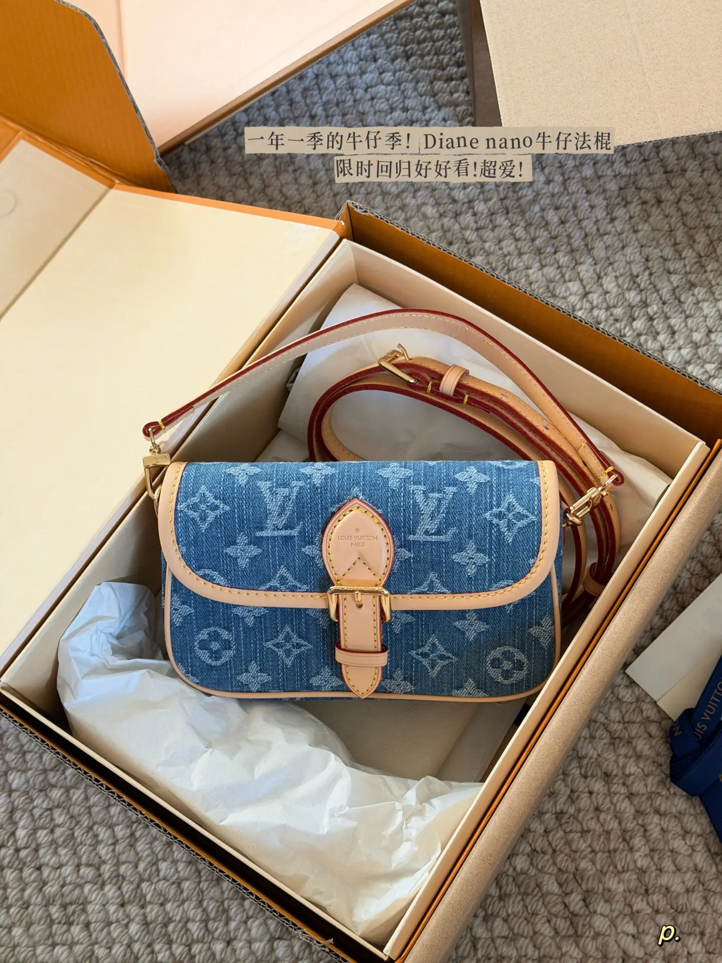 Louis Vuitton Diane Nano Denim Baguette Bag D28016221